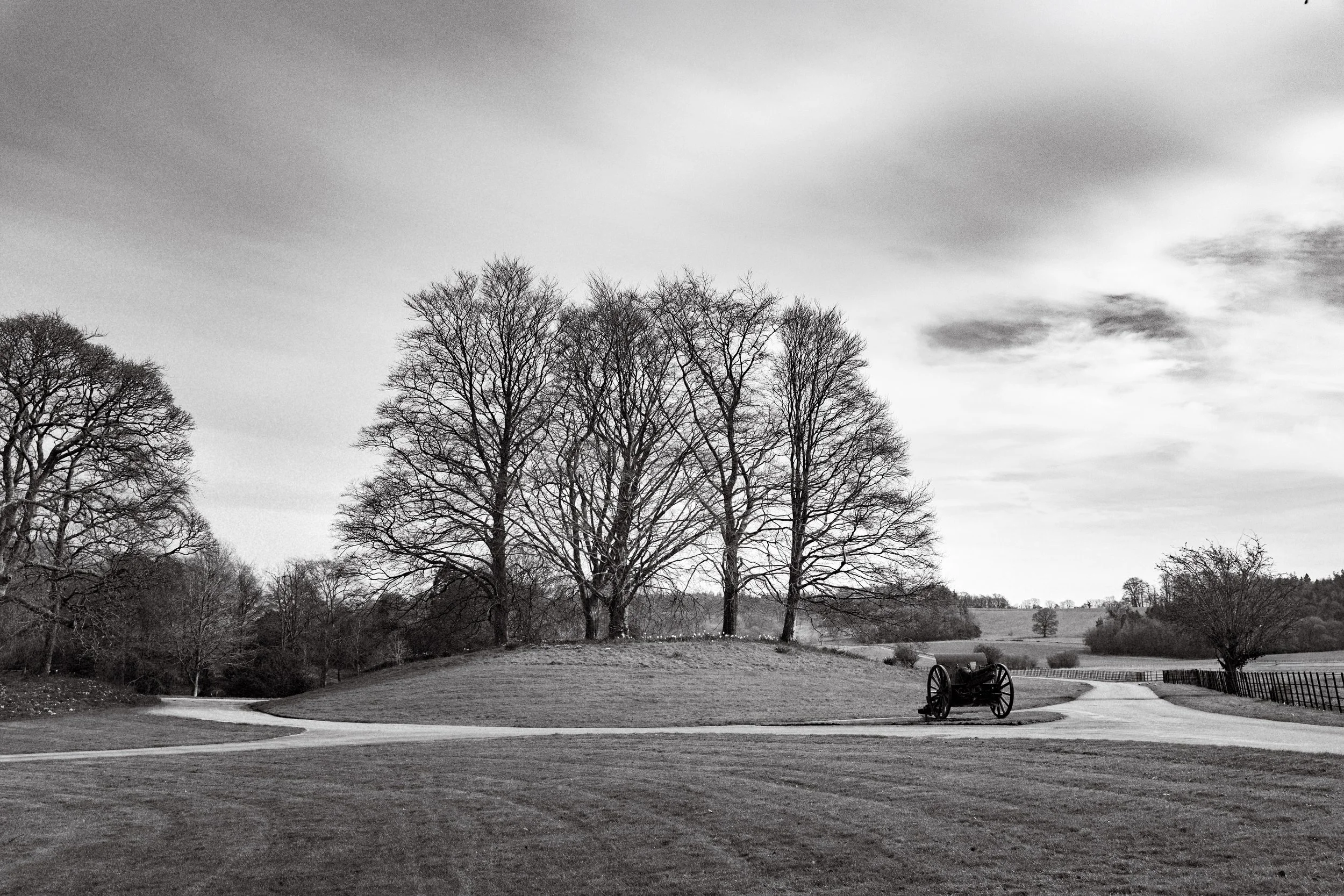 A black and white photo of a park with leafless trees on a hill, a dirt path, and a vintage cannon with large wheels on the right side.