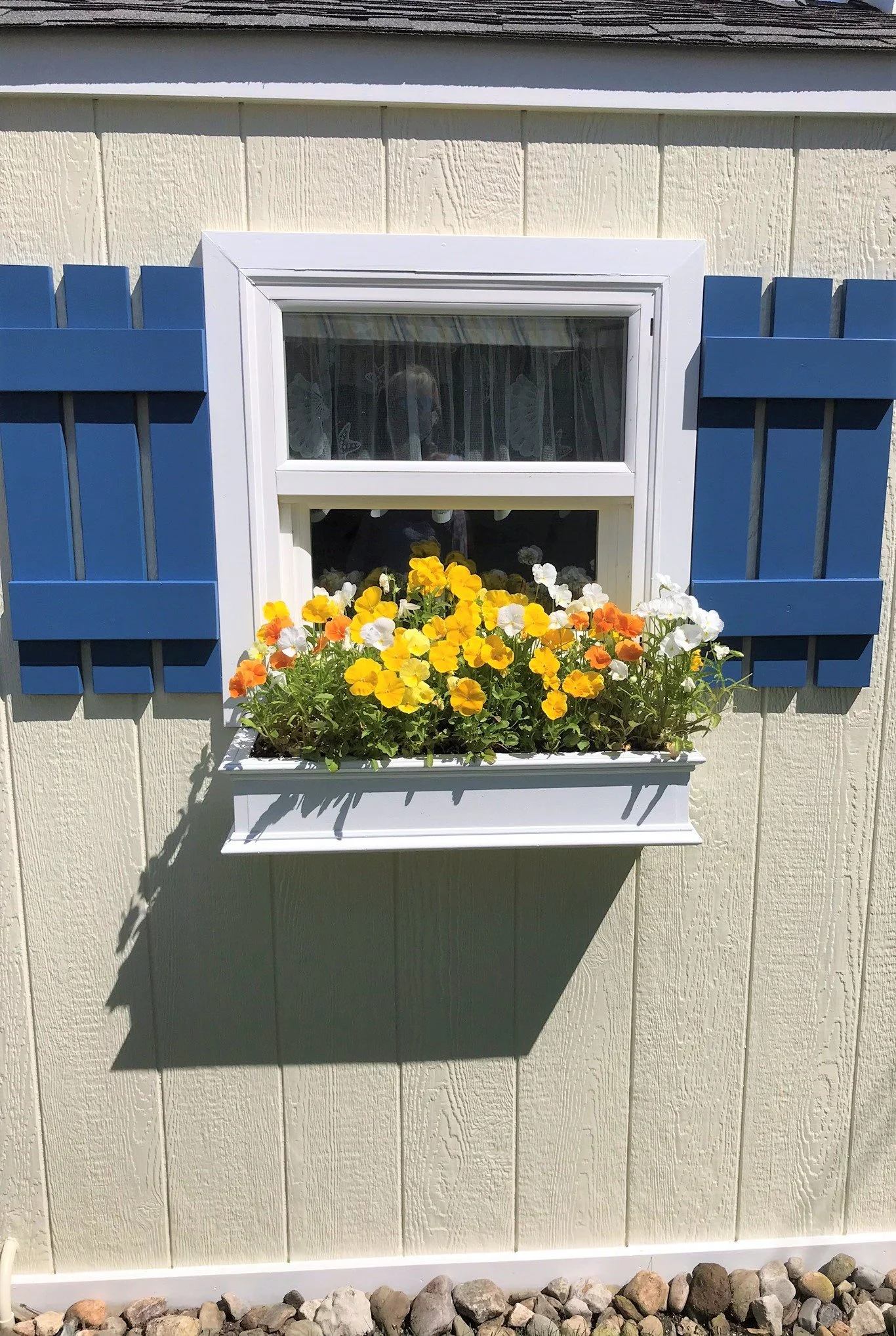 Window Box