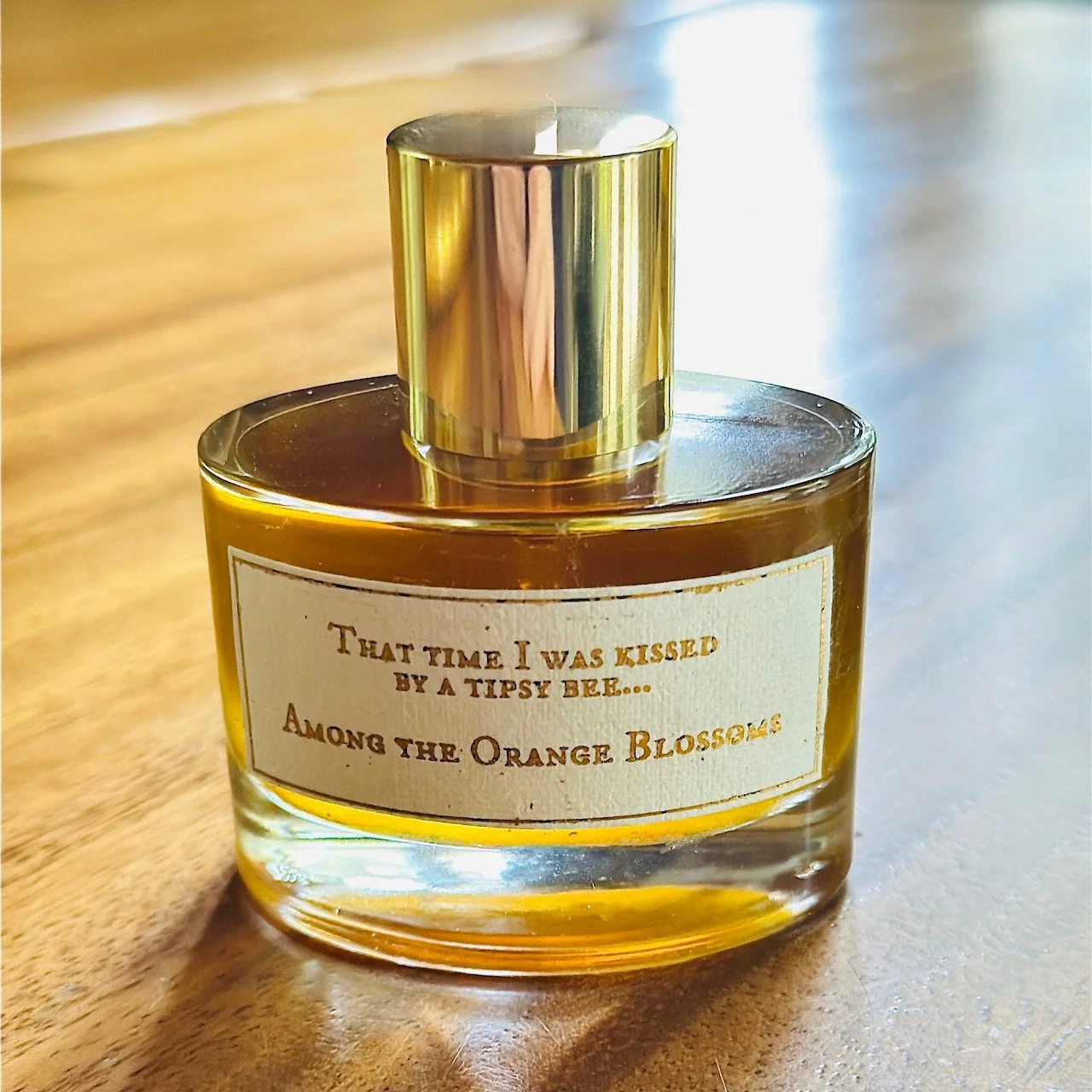 Among the Orange Blossoms front.jpeg