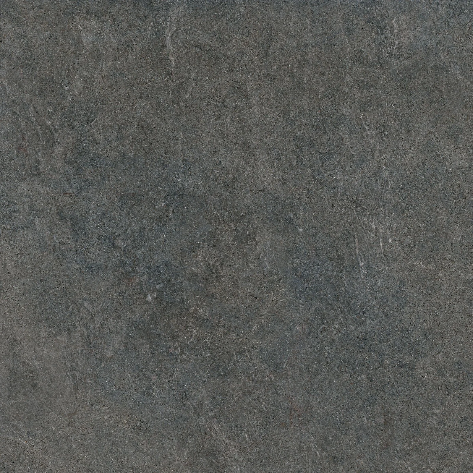 caribbean graphite 60 by 60.jpg