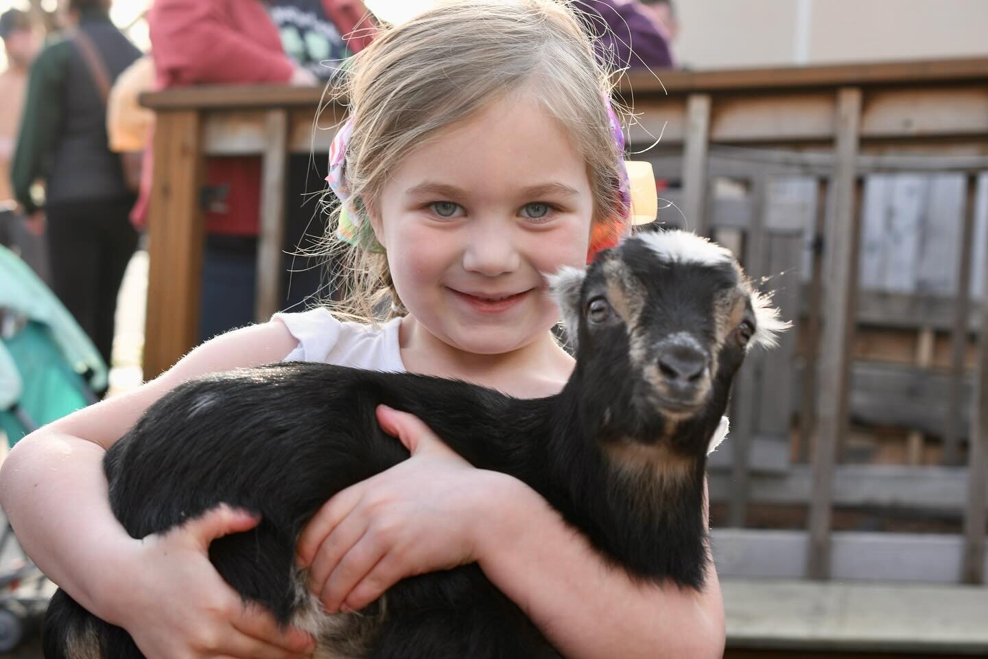 Baby Goats return this Thursday, March 14th! 5pm-8pm

☀️Mother nature approves baby goats and has blessed us with sunshine the rest of this week!

🐐Ridgewalker has teamed up with a local goat breeder, @carpentercreekranch to provide all the cute bab