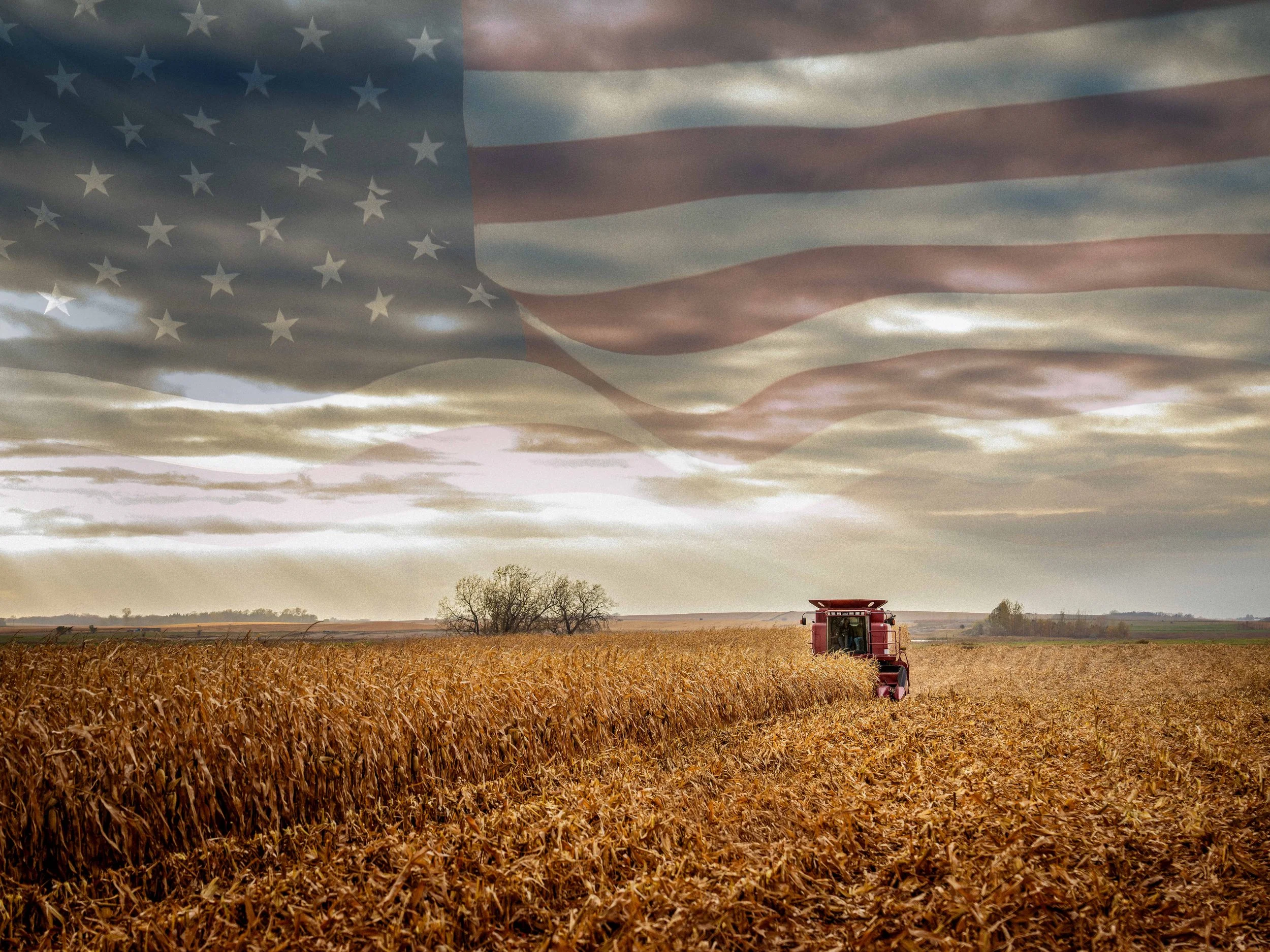 American Farmer '25 Flat.jpg