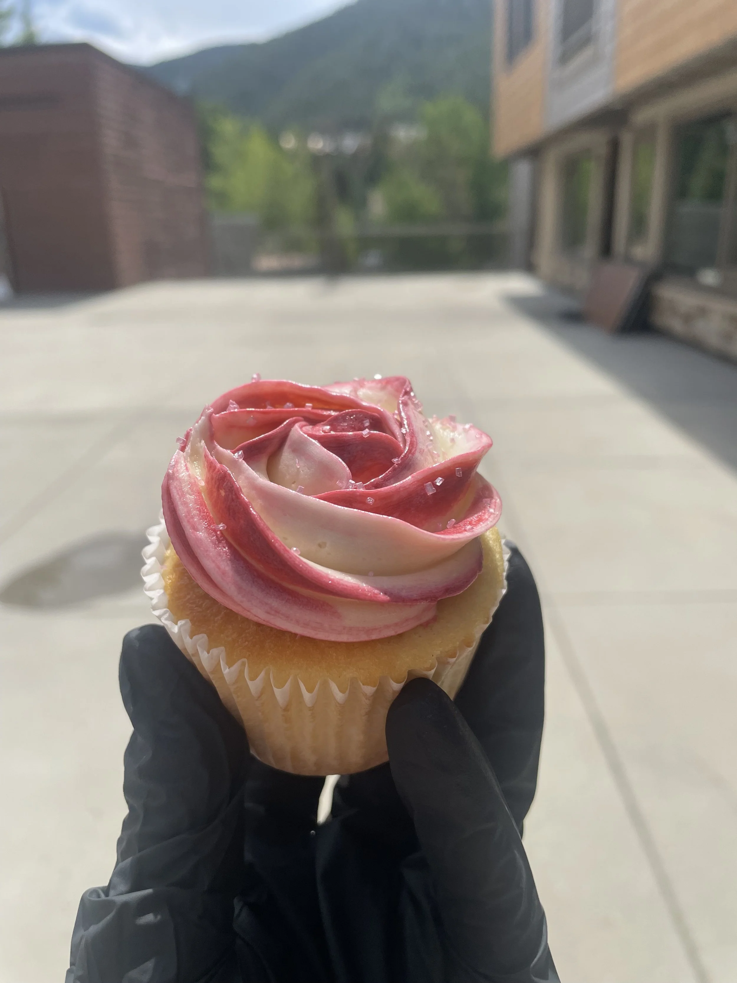 Valentine's Cupcake Box