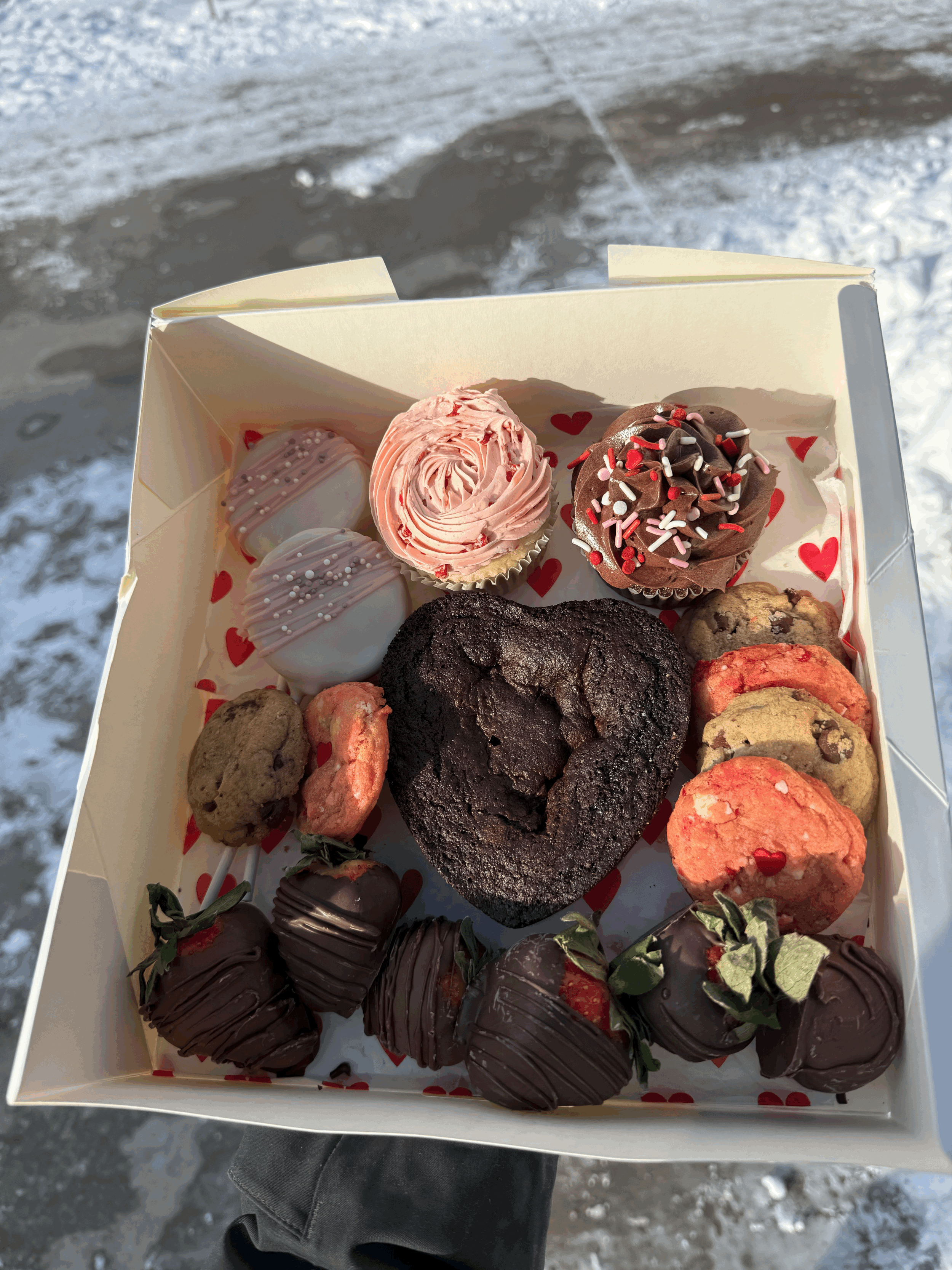 tempImagezUrRDo.gif (Copy)