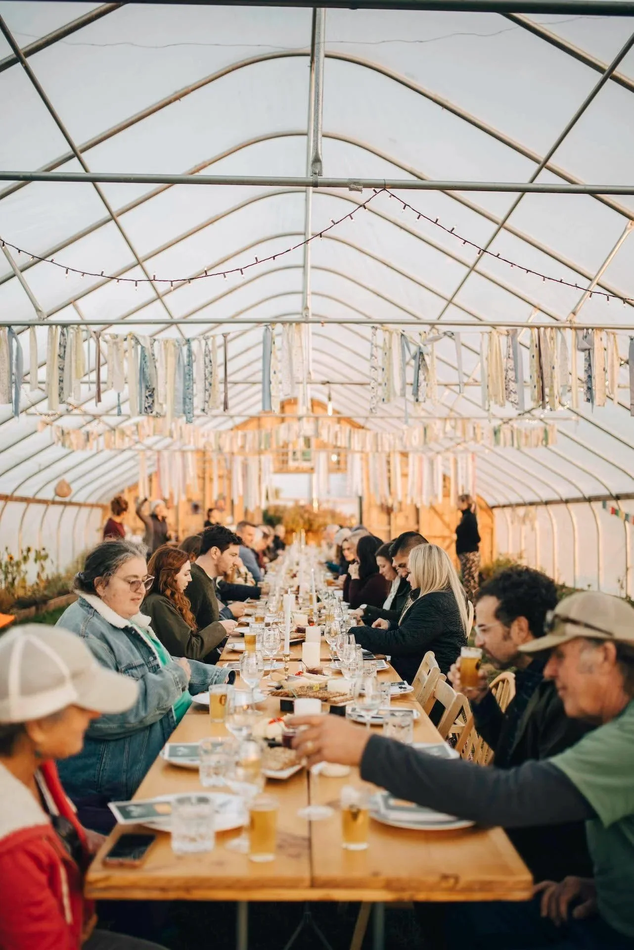 Adventure Dinner | Marketing &amp; Strategy Consultant