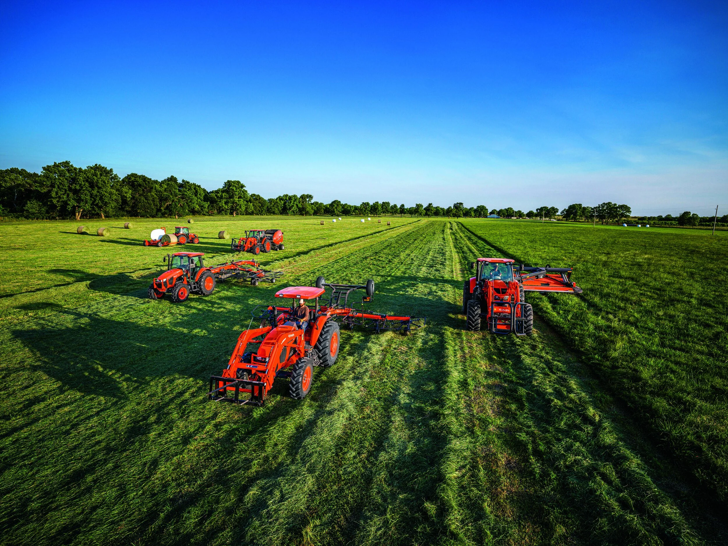 PORT_AG_Hay_OK21_B0075200_L_cmyk.jpg