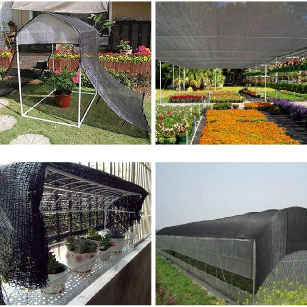 Chicken Heat Safety Tips: Keep Your Flock Safe in Hot Weather — Roobeez