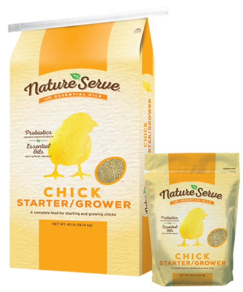 A closer look at Cheap Baby Chick Feed Options