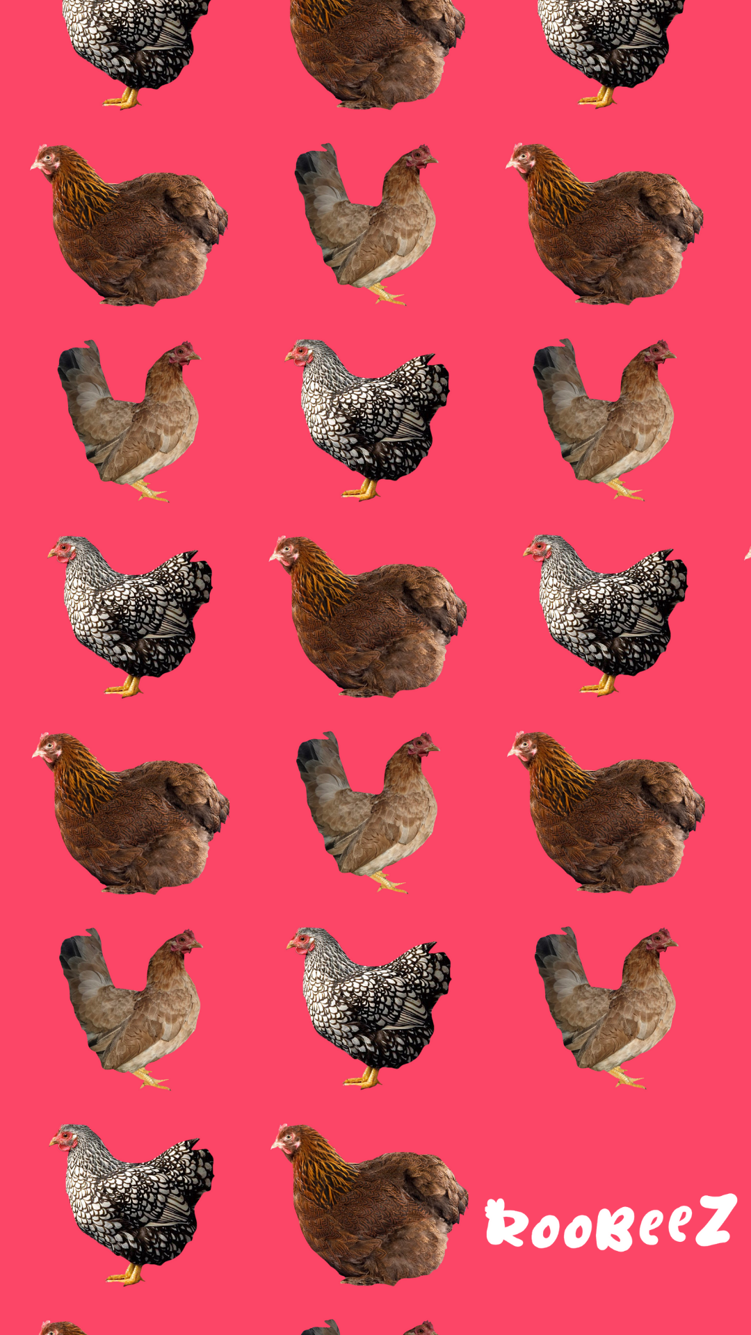 2.png