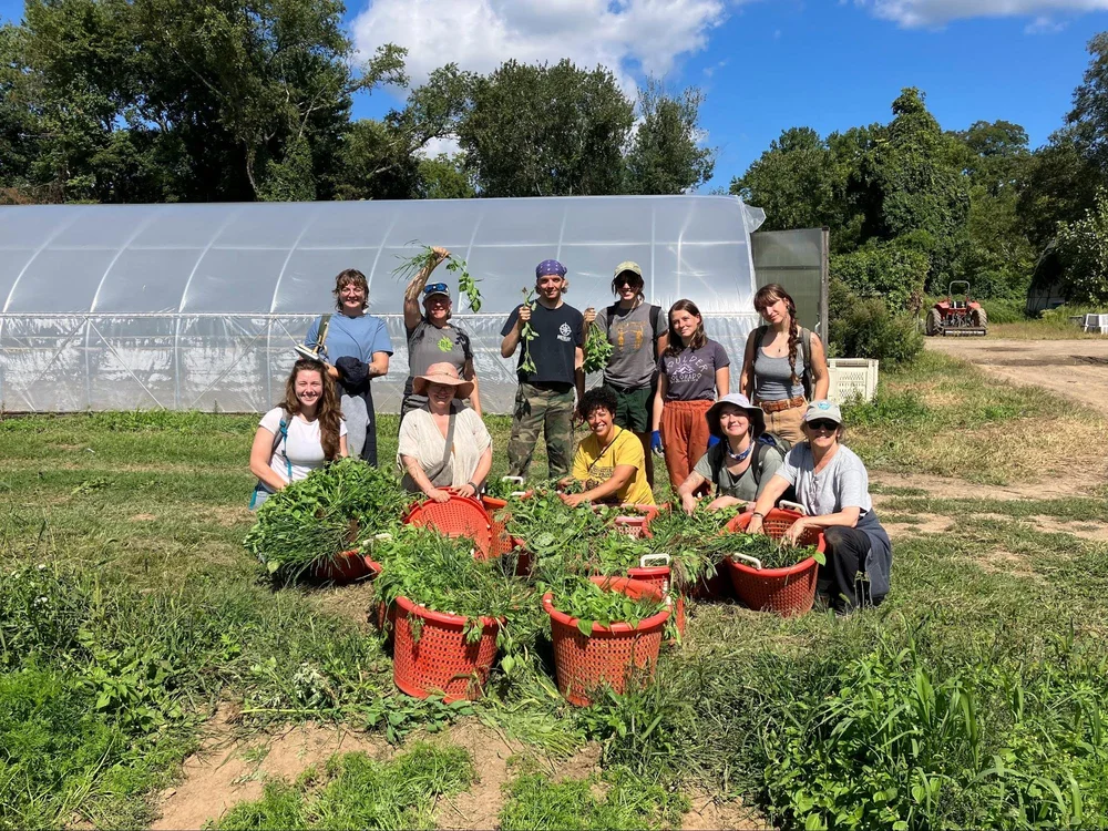 Service Project at the Poughkeepsie Farm Project