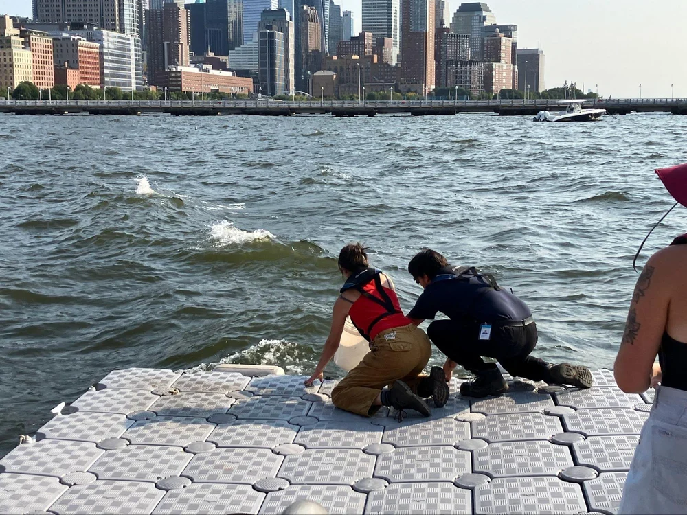 Water Sampling in the Estuary: NYC
