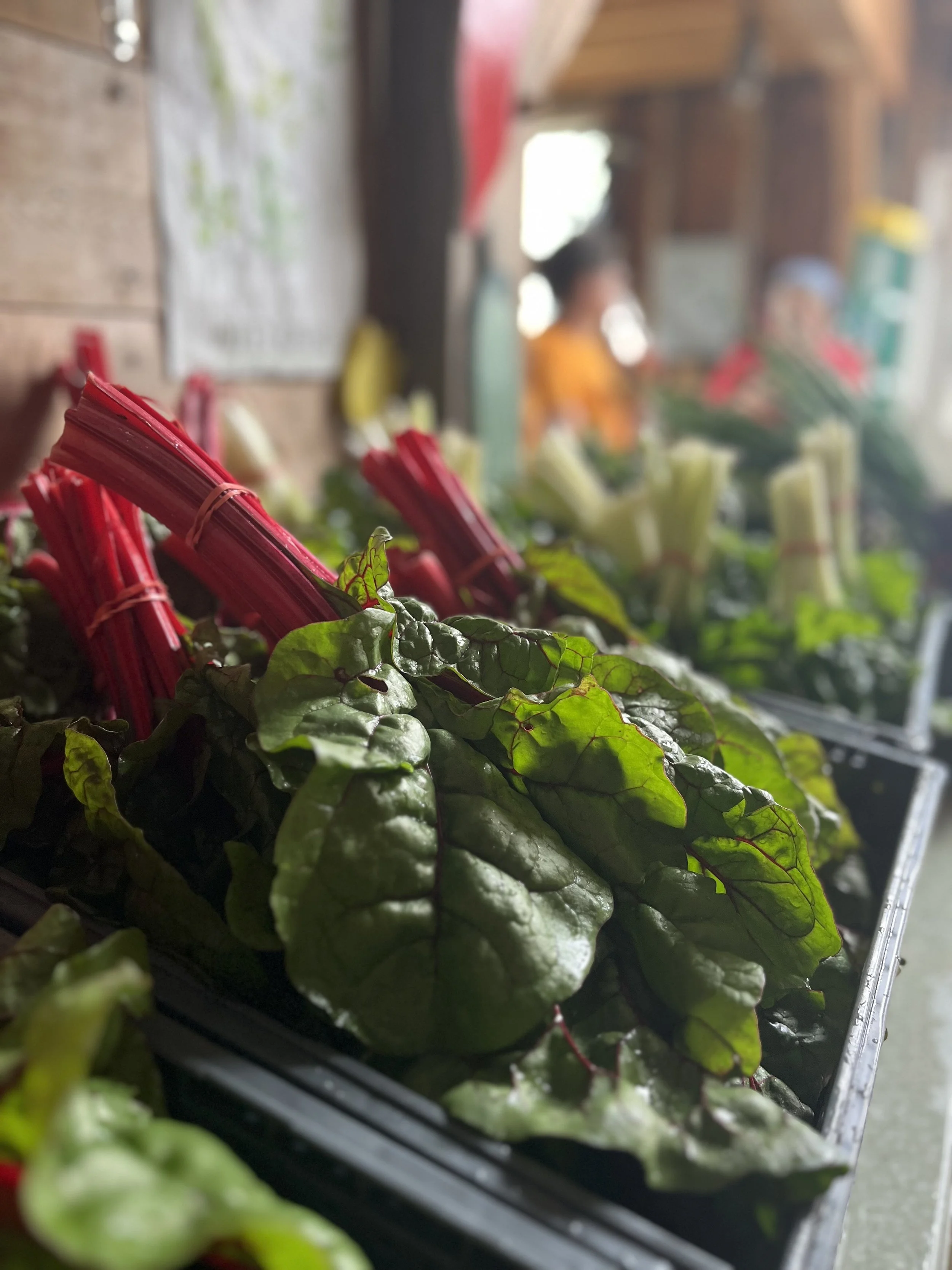 Community Dinner — Sterling Farm & Fall Harvest