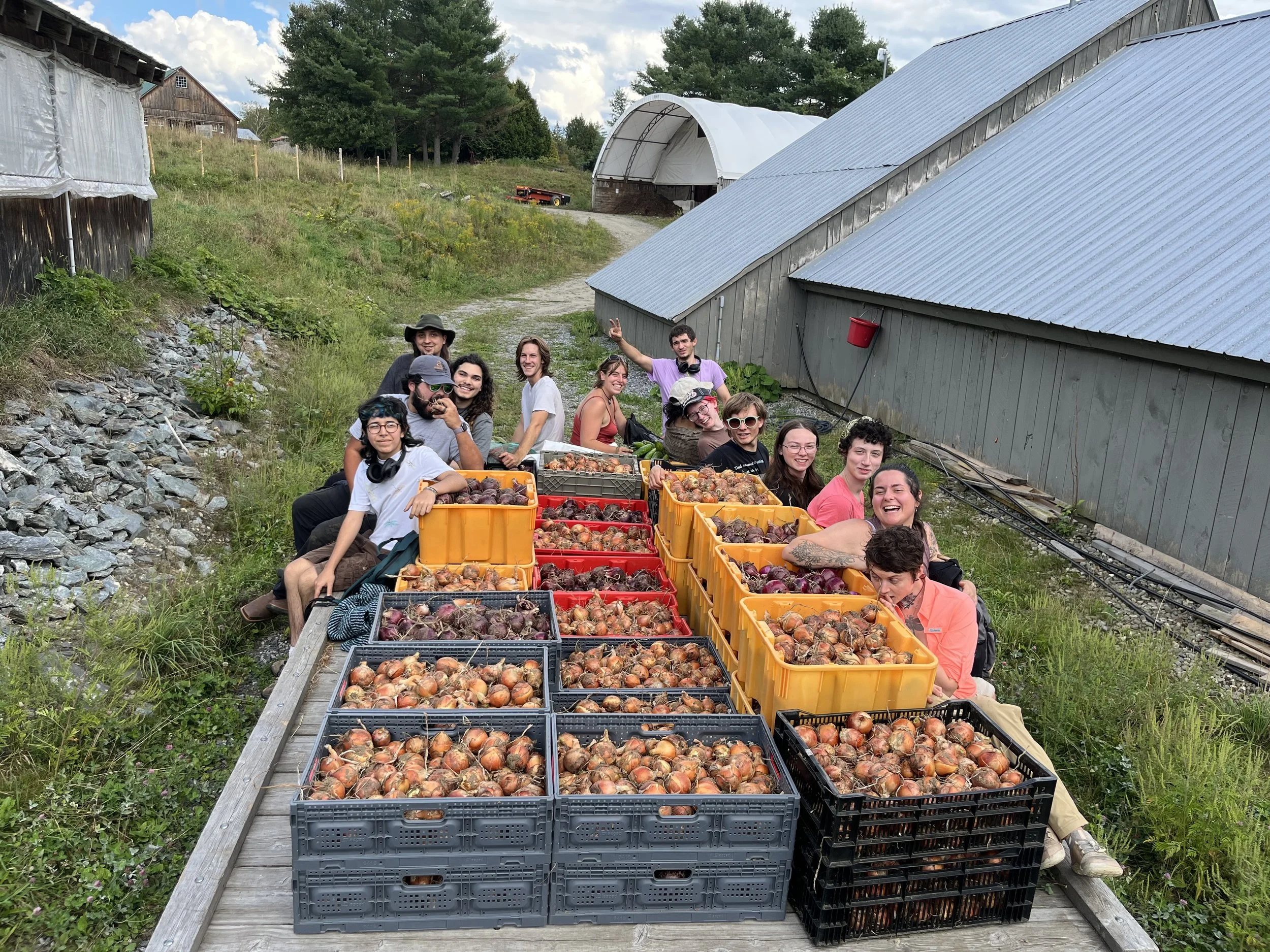 Community Dinner — Food Security & Wellness