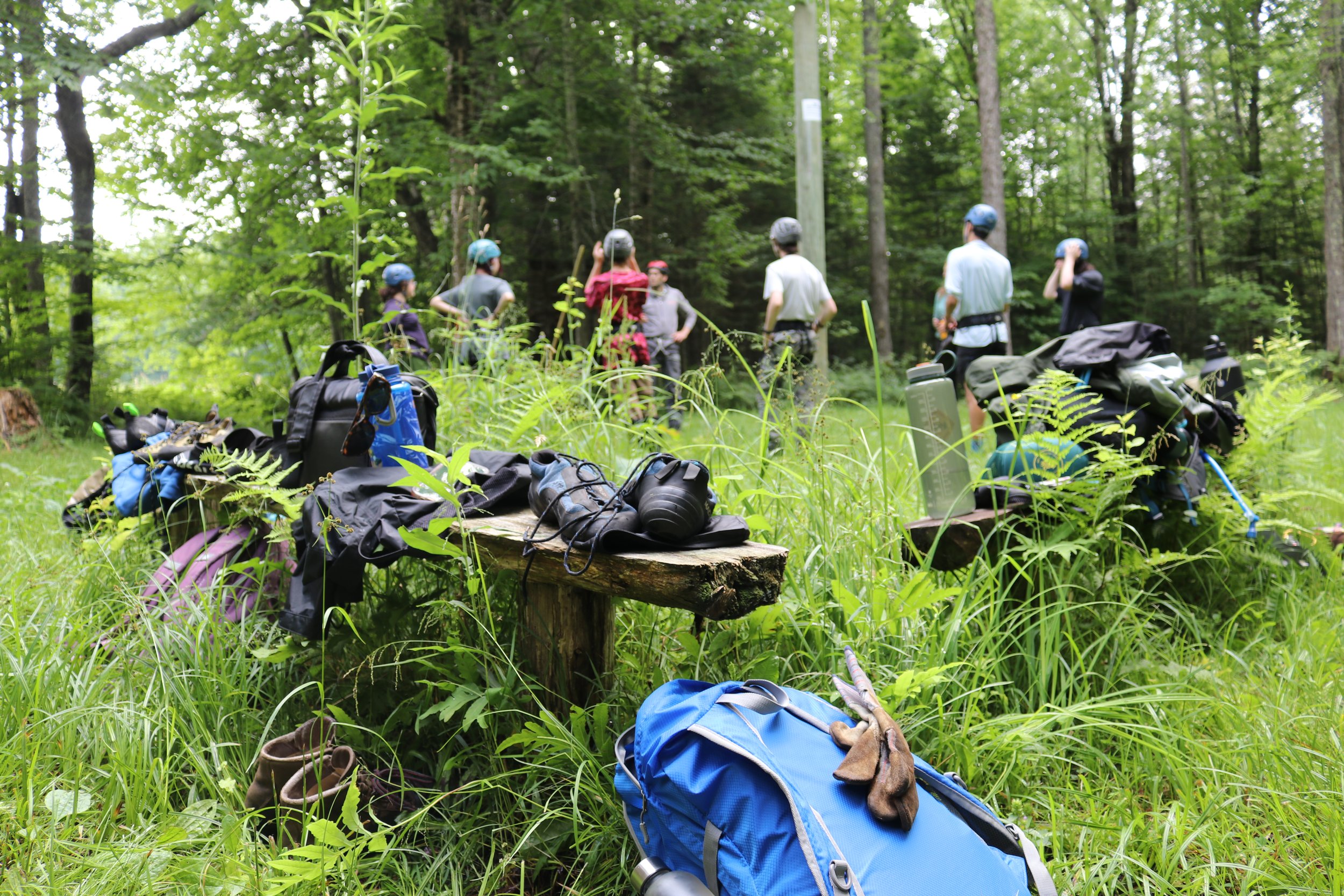 Alumni Session: Transition Information and Q&A