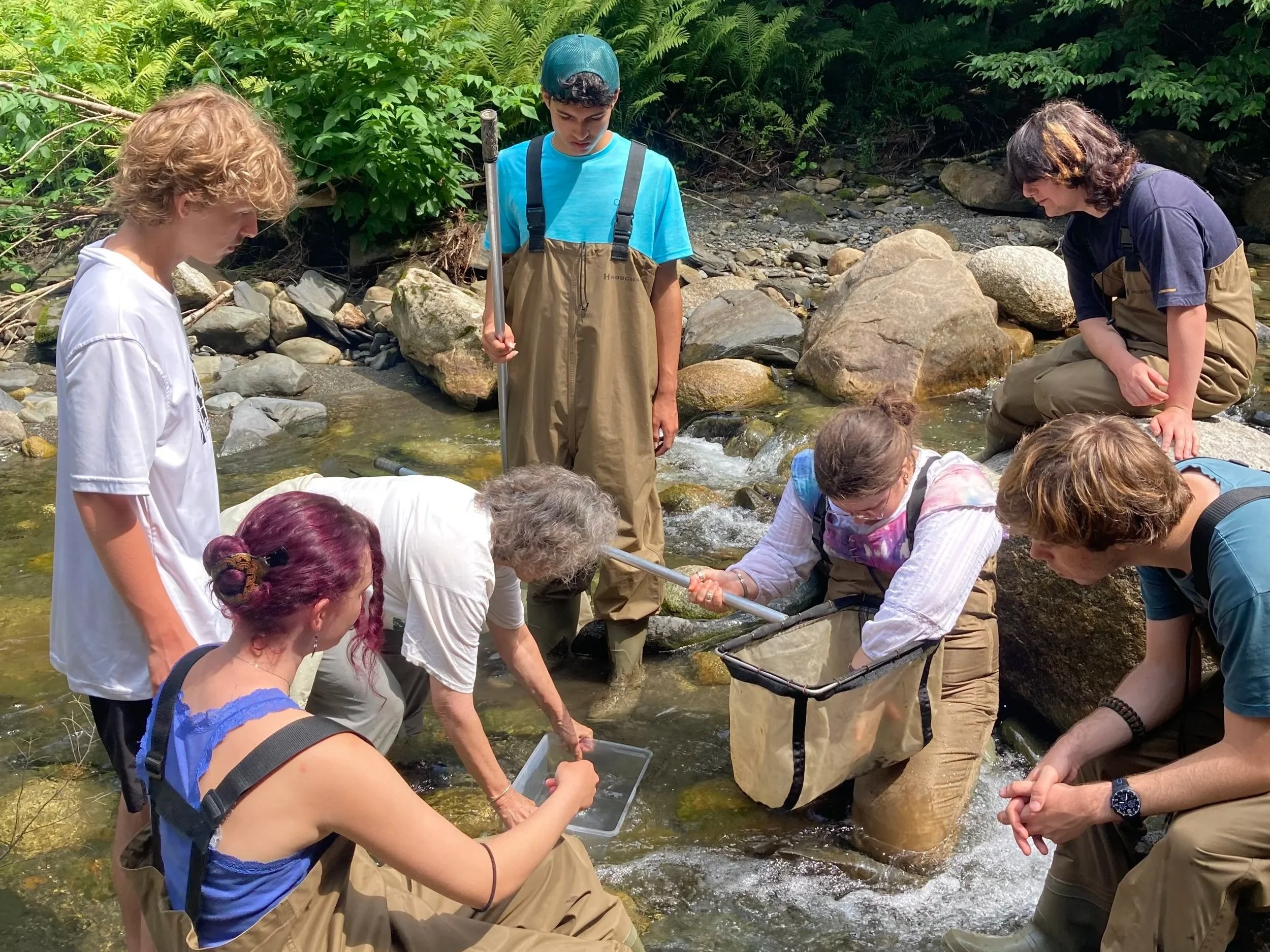 �����ؿ� Pre-College students collect macro invertebrate