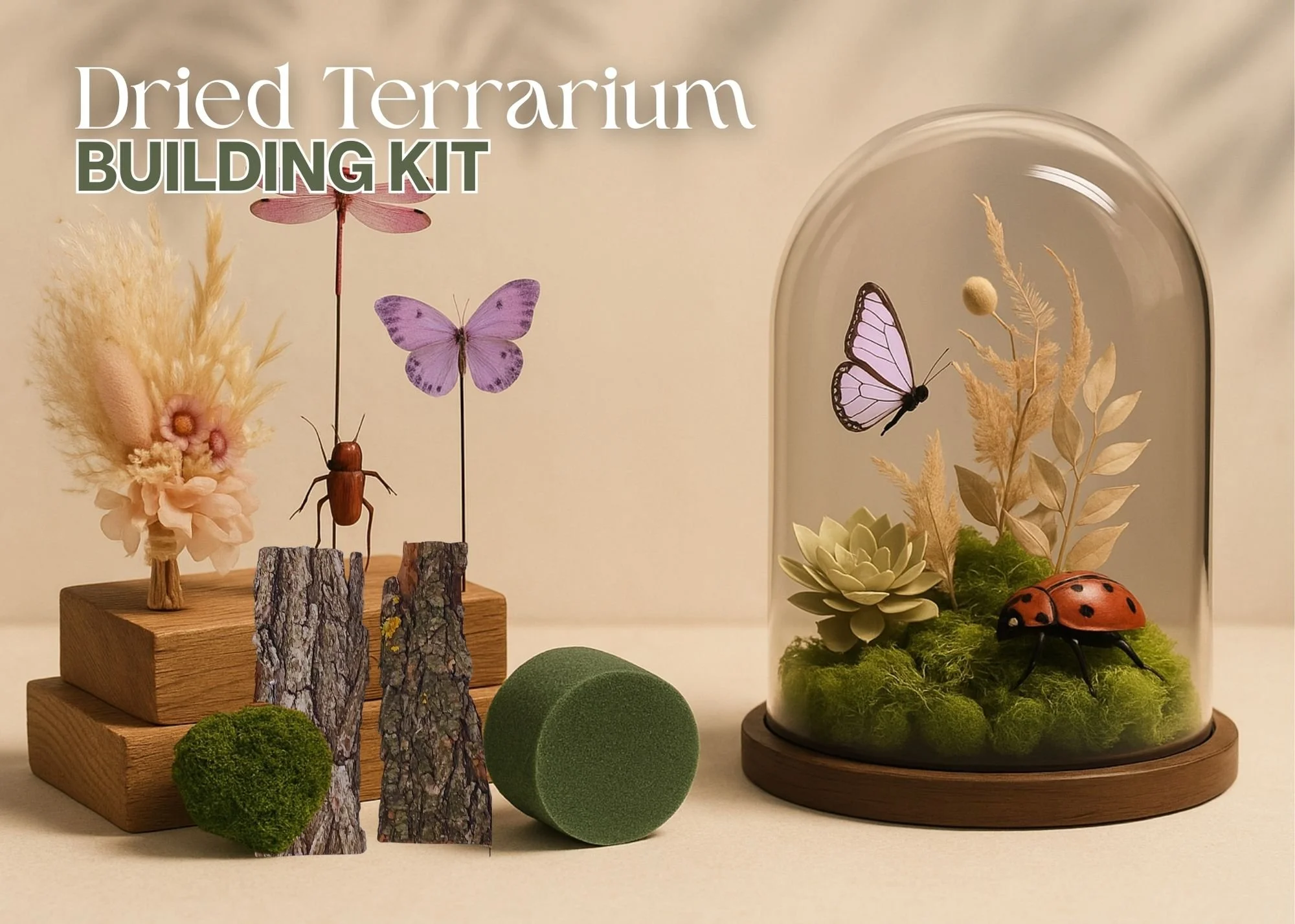 Dried Terrarium Building Kit