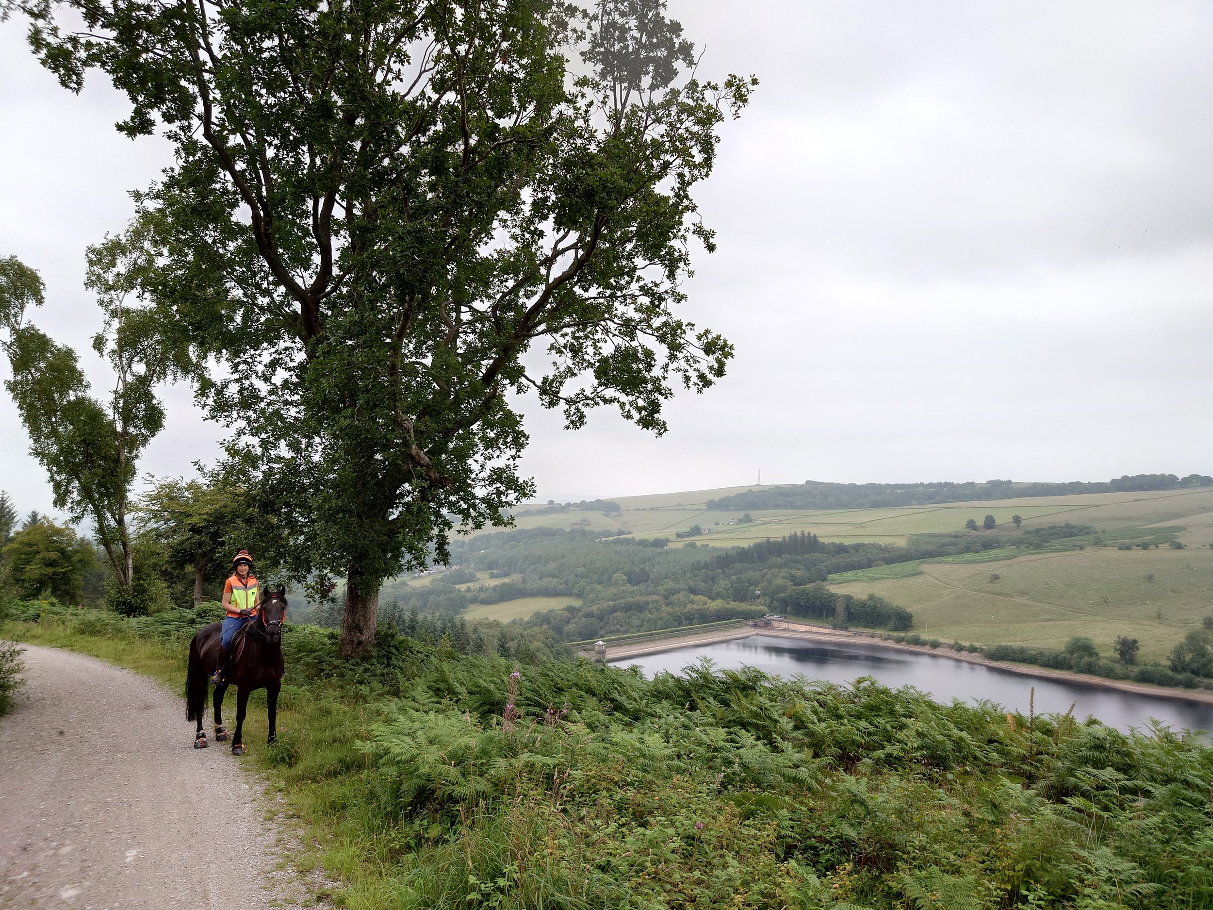 Goyt Valley