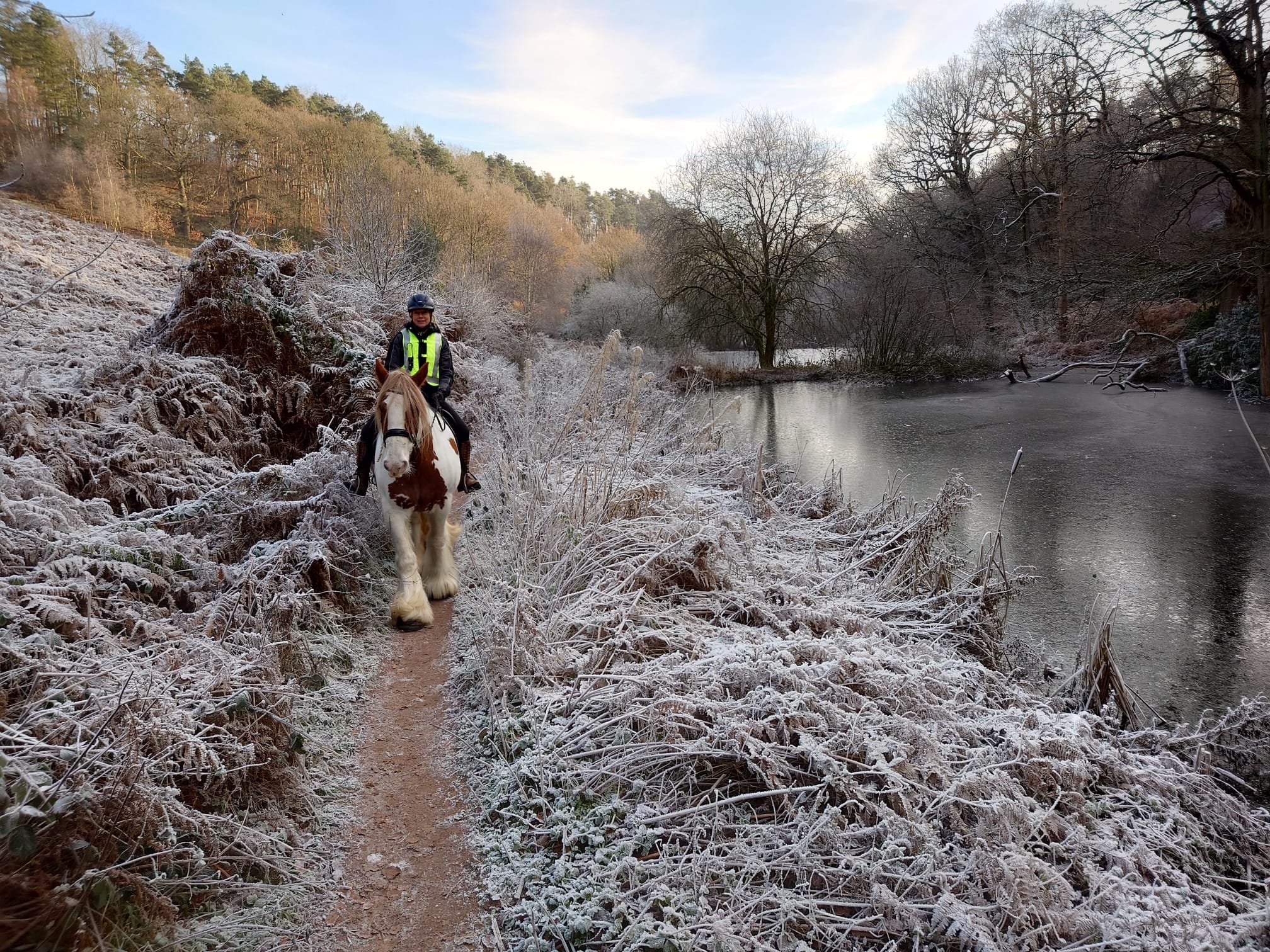 Dimmingsdale