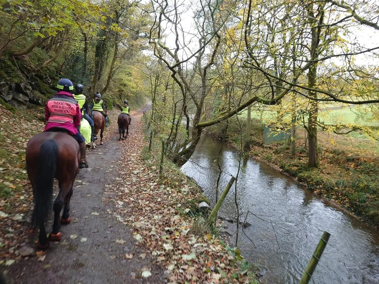 Manifold Trail Novice