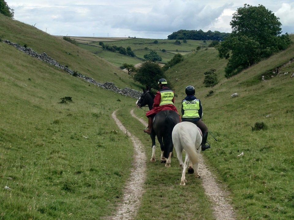 quarry bridge track.jpg