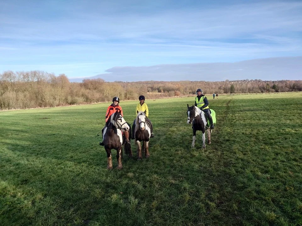 shipley canter fields.jpg