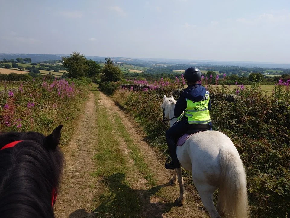 near grange hill.jpg