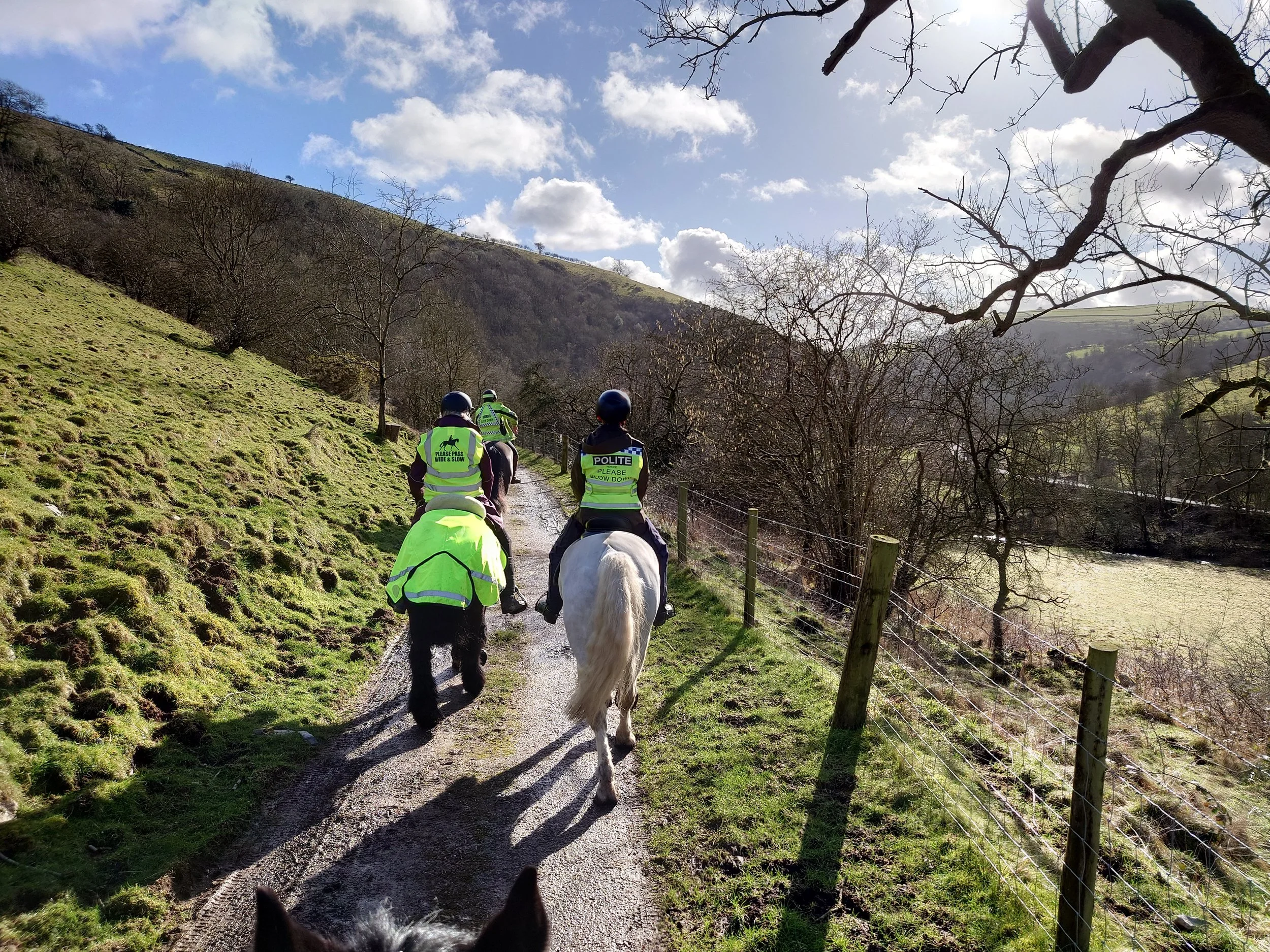 44 Manifold Novice 2.JPG