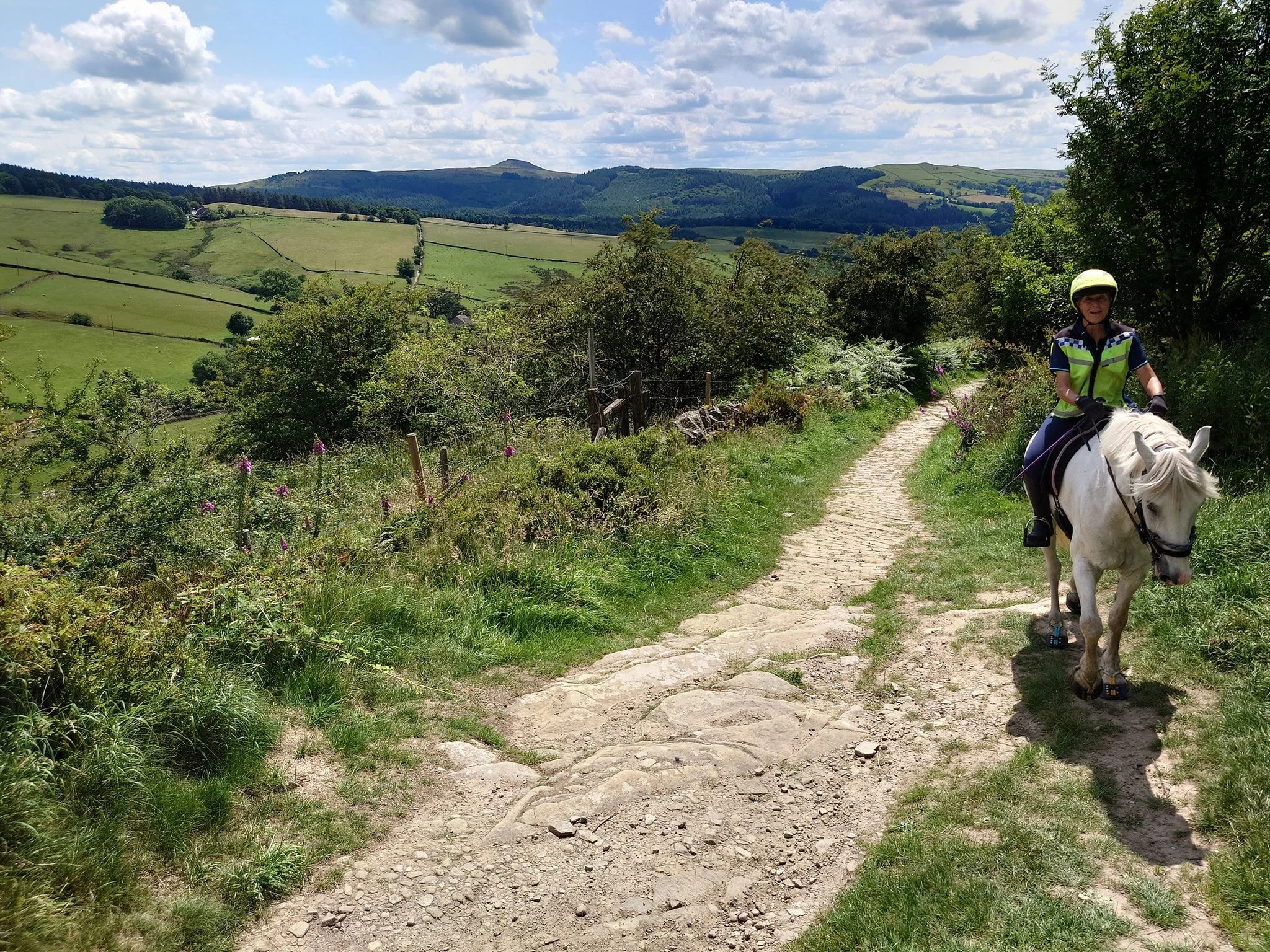 tegg cobble path.jpg