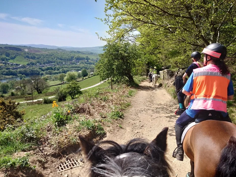 descending lantern pike.jpg