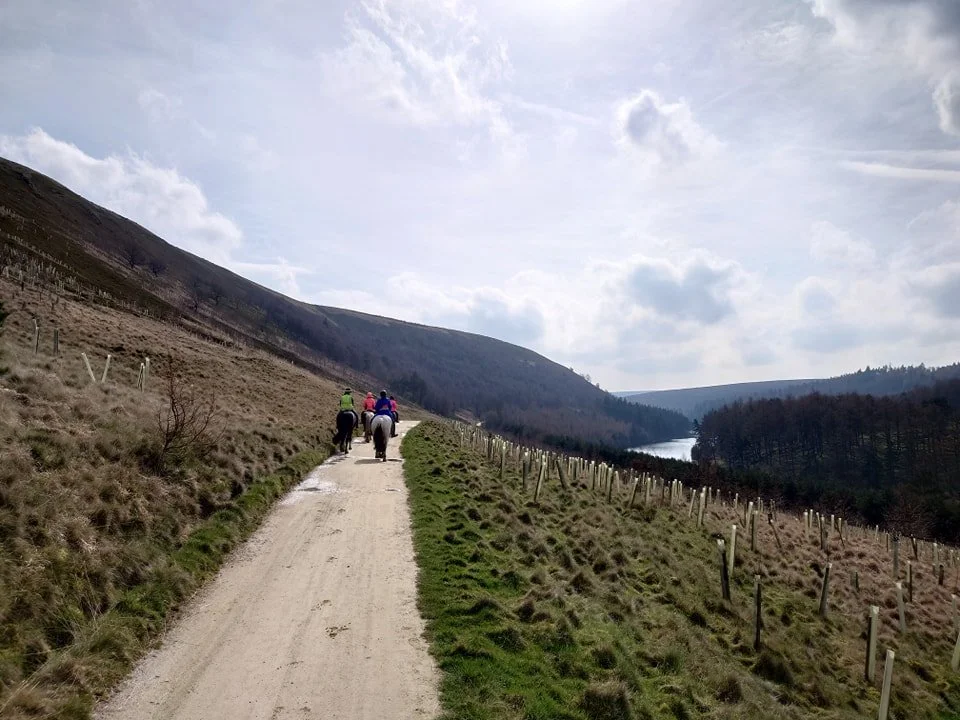 howden bridleway.jpg