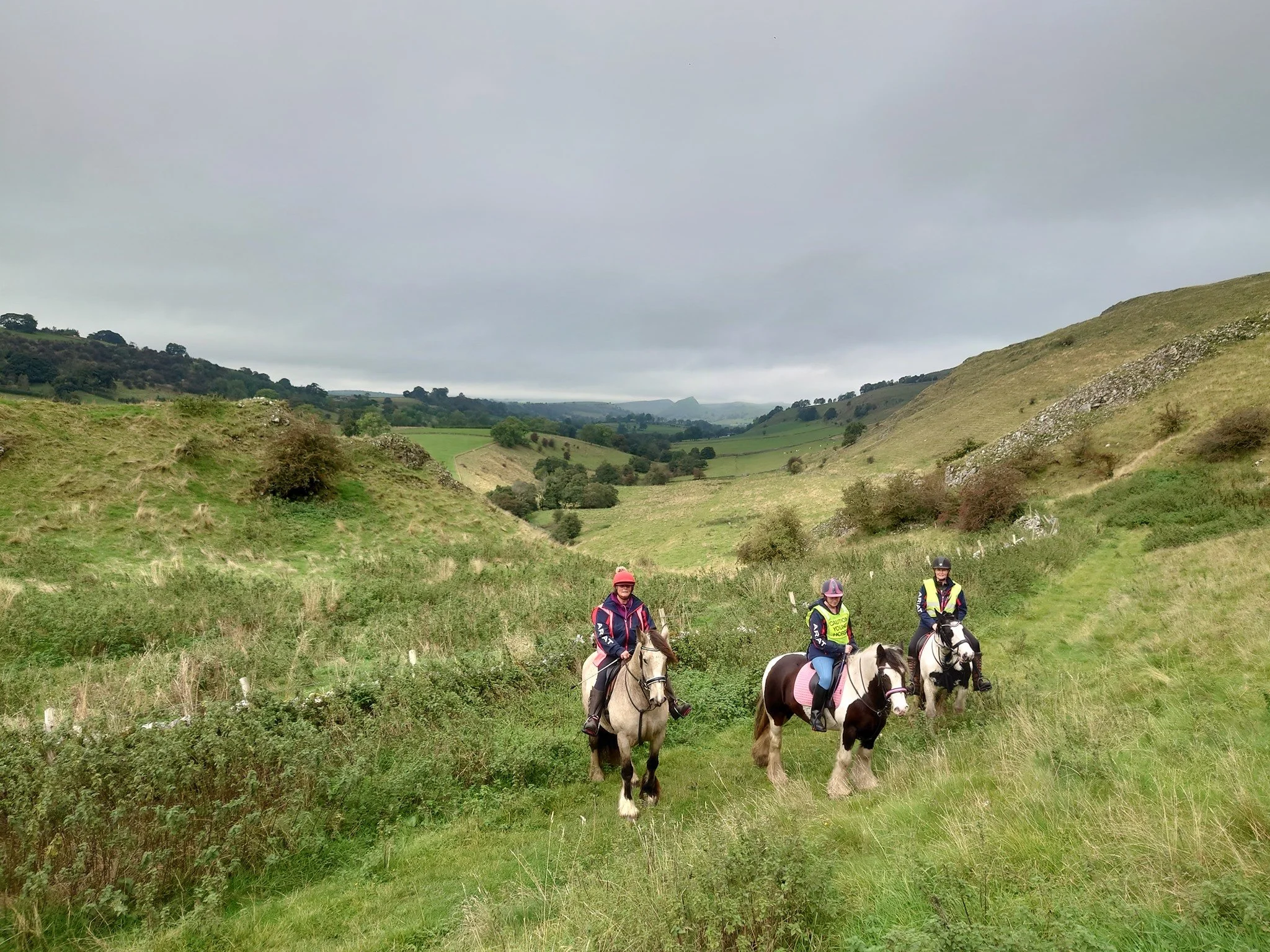 pilsbury dragons back.jpg