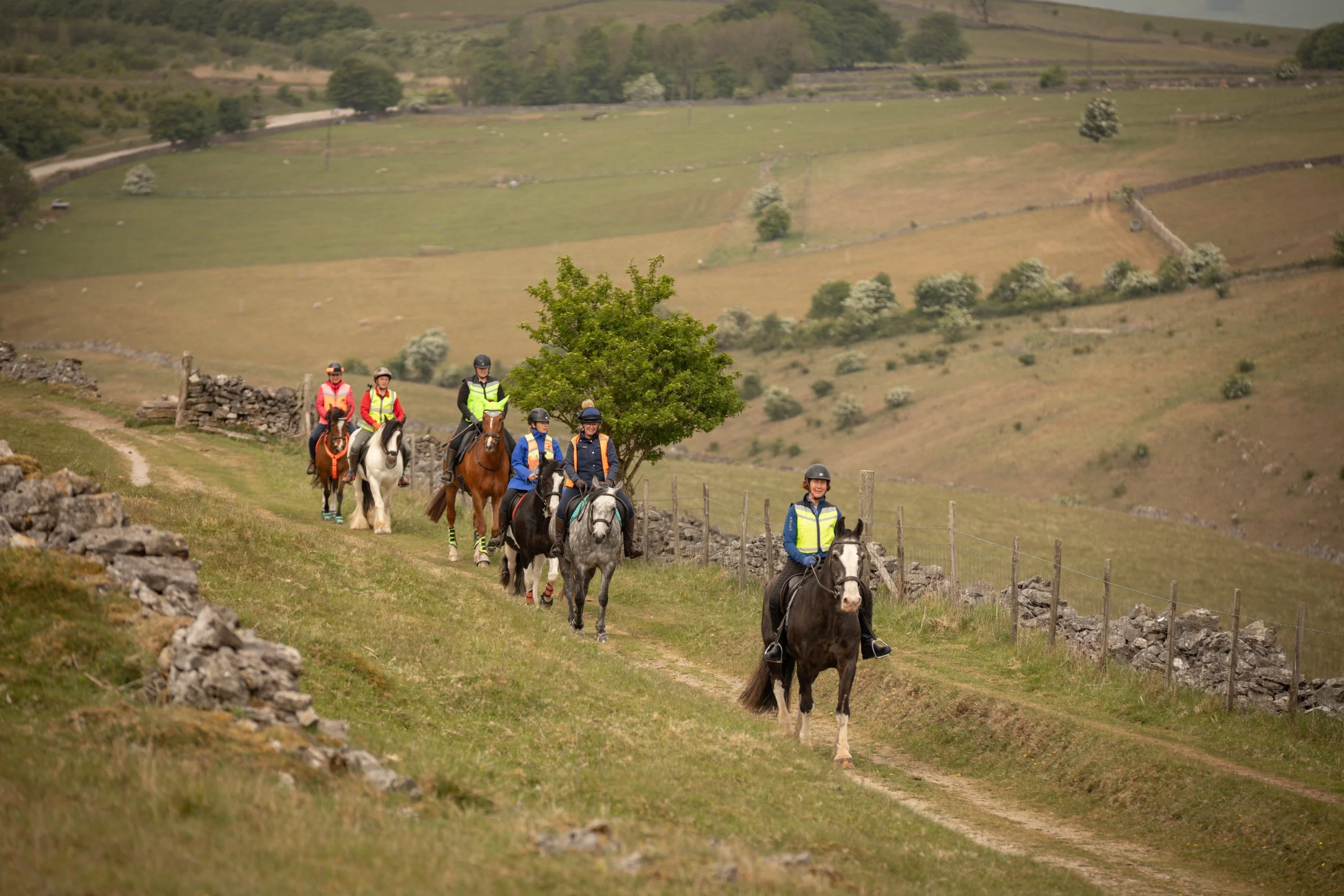 Great Longstone PDGHR_May 2025 -56.jpg