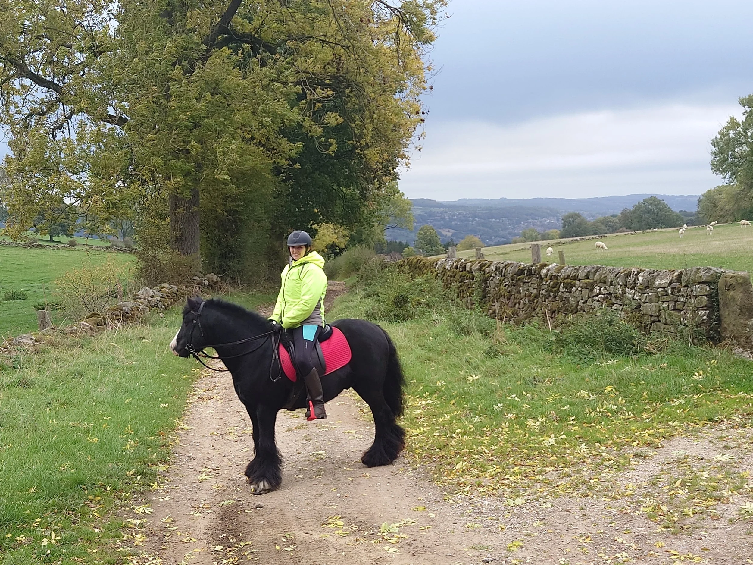 Clough Wood Lead Mines