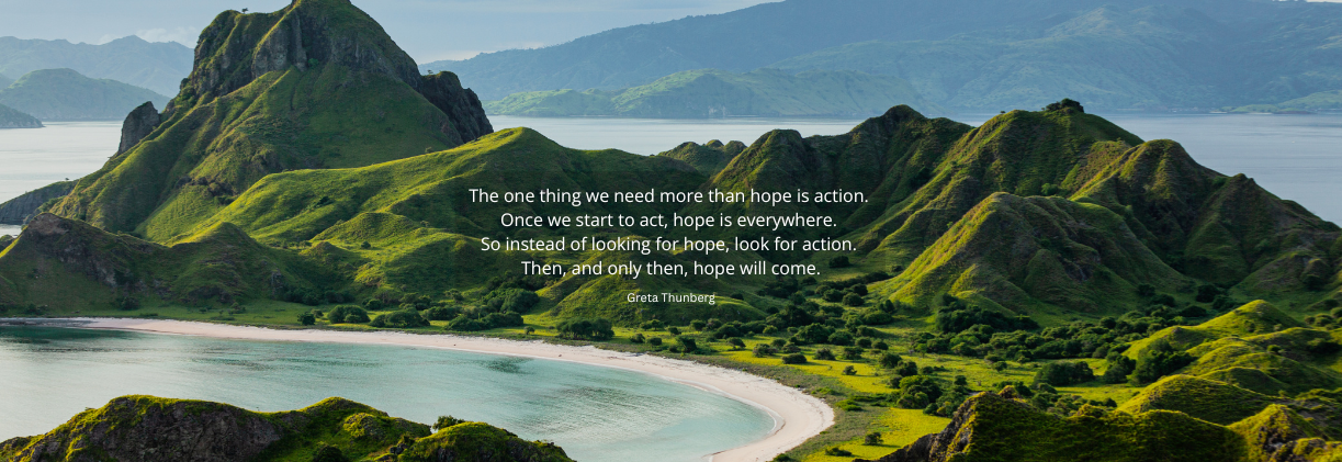 Greta Thunberg - The one thing we need more than hope is action