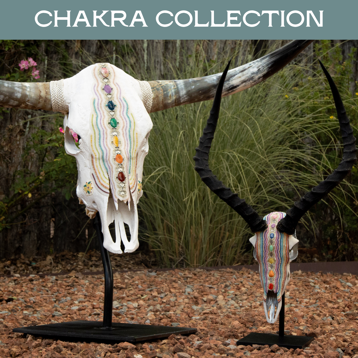 animal skulls with chakra stones beads and gems