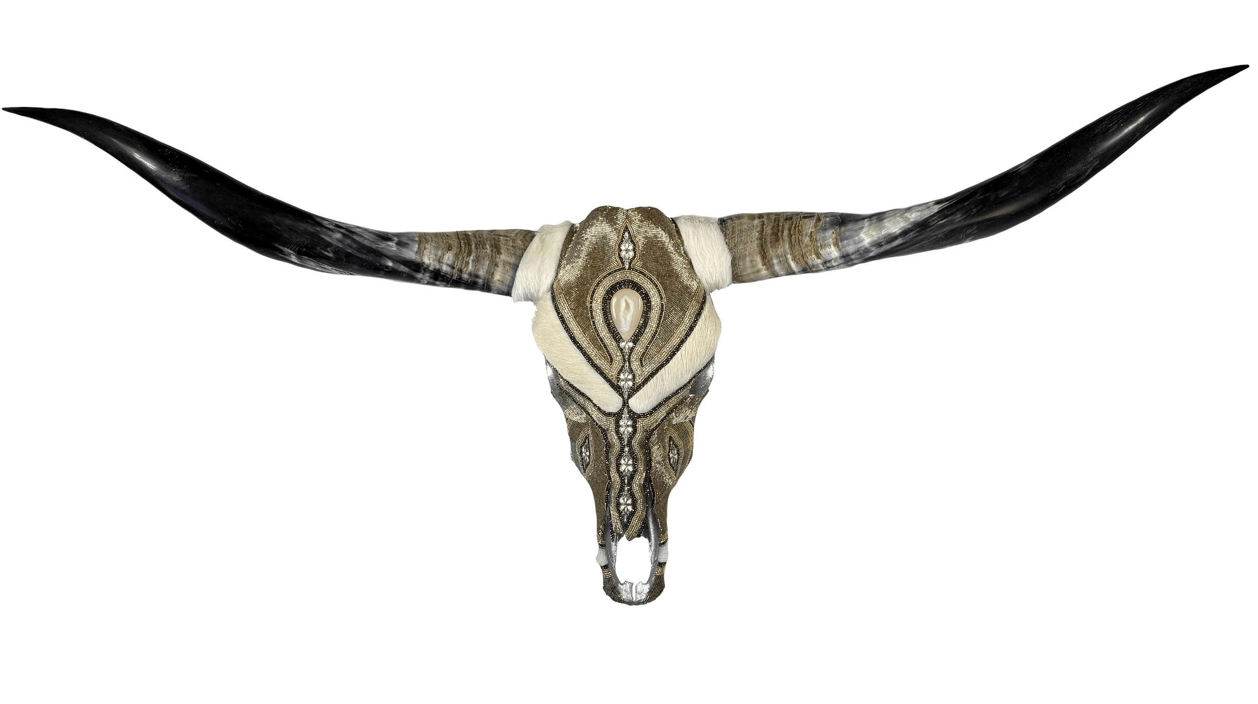 White Fur Longhorn 