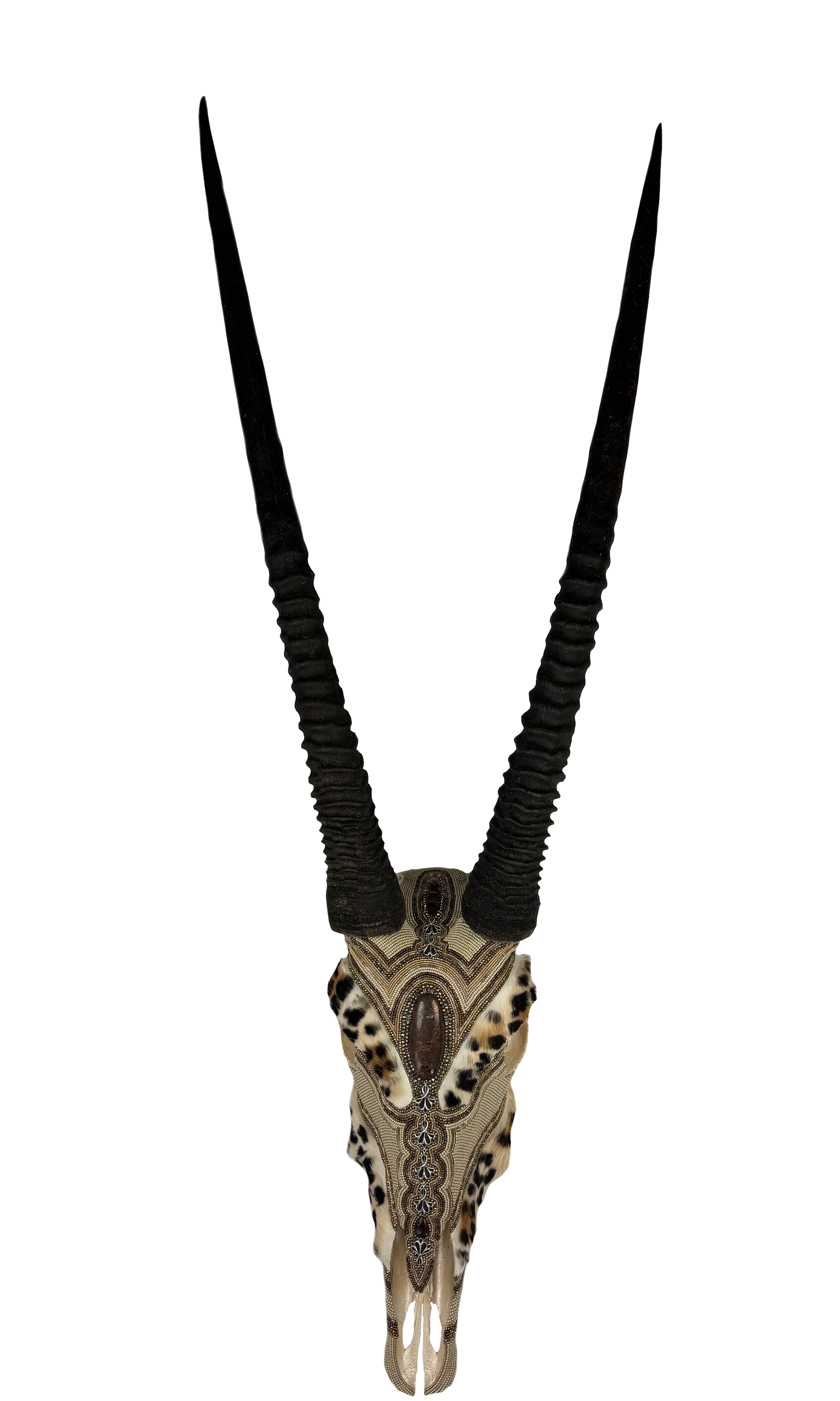 Faux Leopard Oryx
