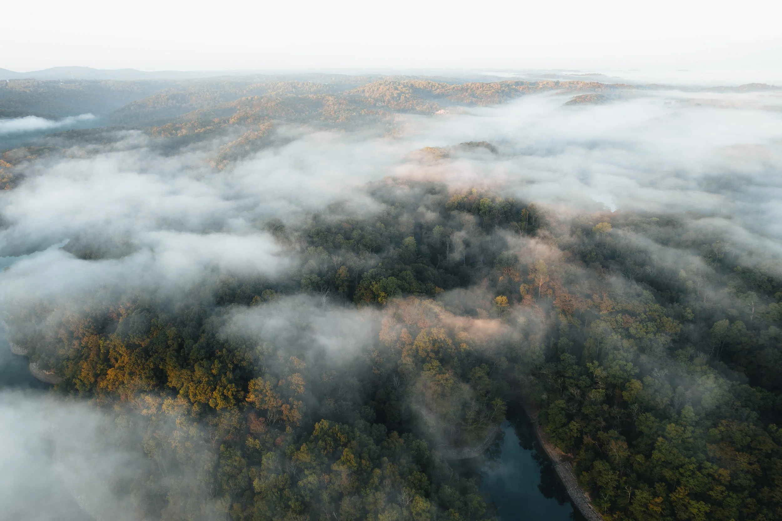 i.ben.weaver_DaleHollowFog2025-11.jpg