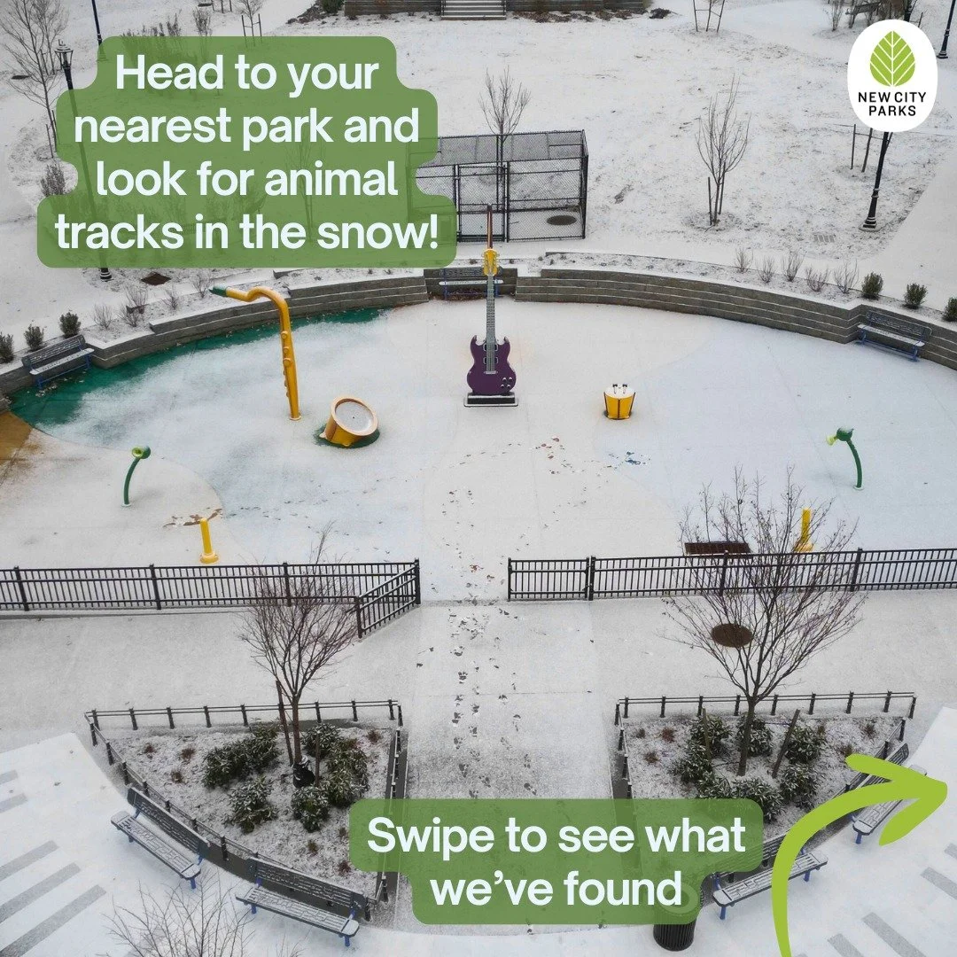 Humans aren&rsquo;t the only creatures who benefit from parks! Parks benefit wildlife and connect us to nature. 🐾🍃 And winter is the perfect time to see who else has been visiting. Have you noticed any prints in your local park? ❄️ #animaltracks #s