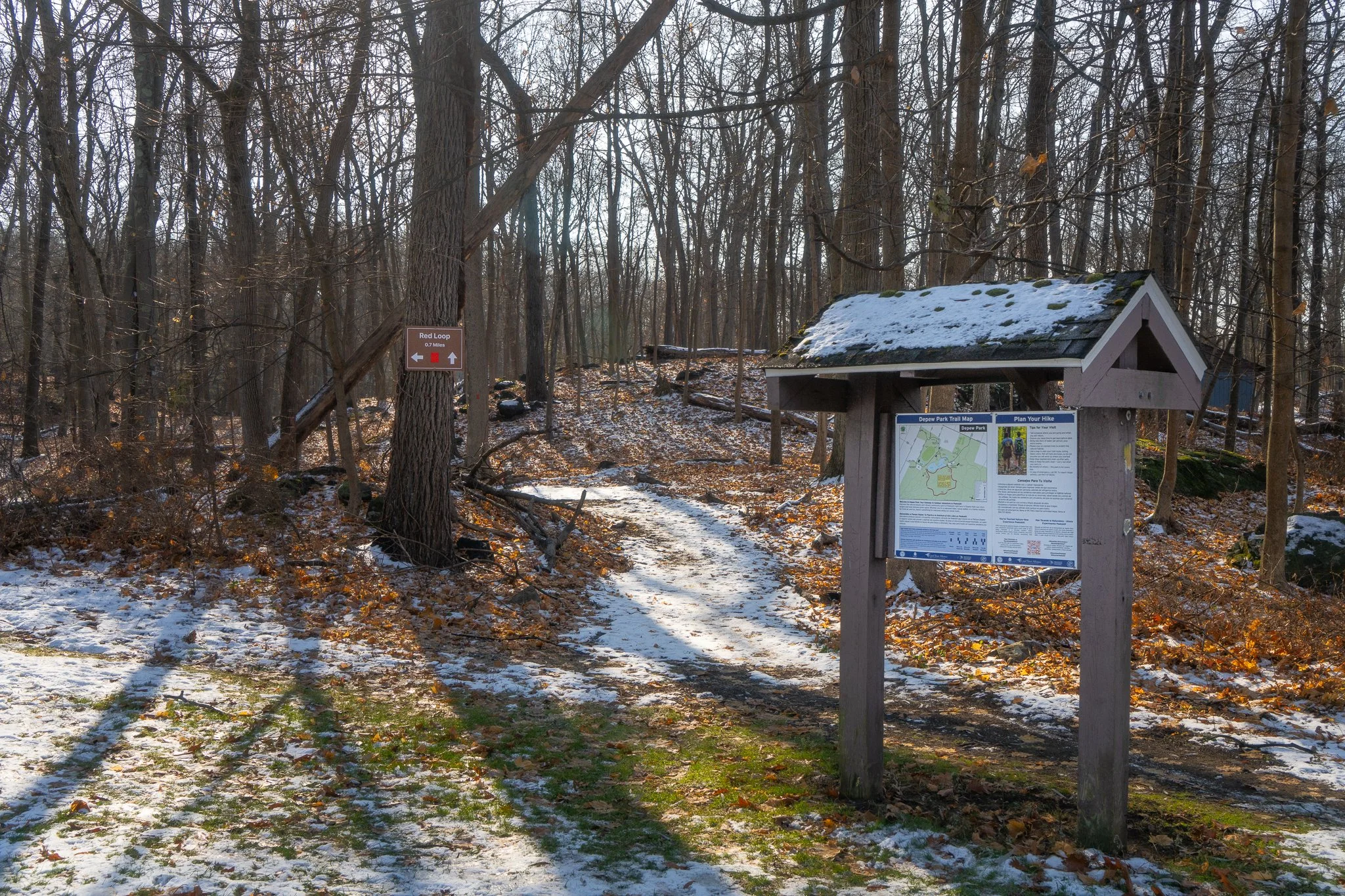 New Red Loop Trail created as part of Phase 1 trail improvements. 