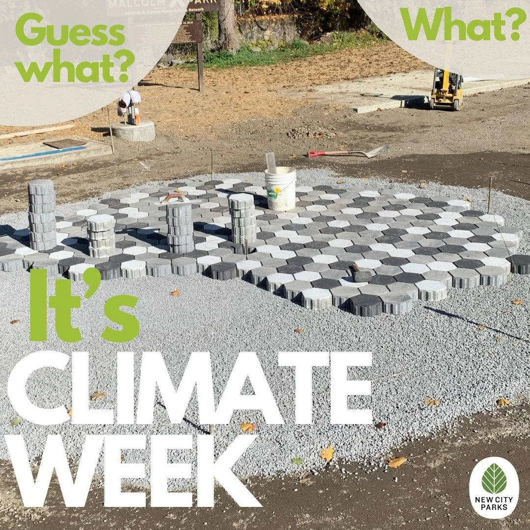 Did you know urban parks can help cities manage hundreds of gallons of stormwater runoff? ⛈️ 

In our cities, rain often has nowhere to go. Concrete and pavement send runoff into overburdened sewer systems, increasing the risk of flooding. Parks help