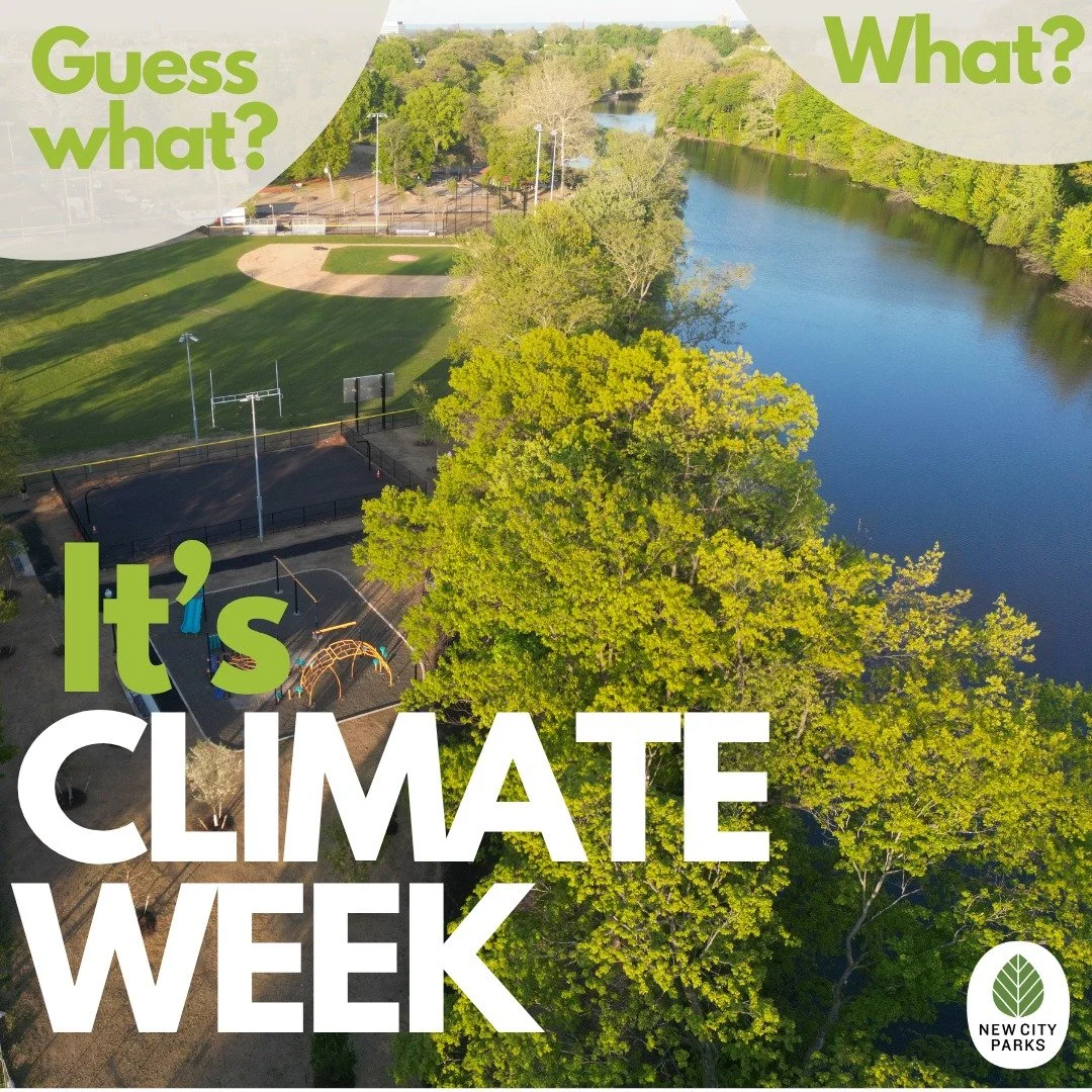 Trees: Nature's quiet heroes 🌳🌲🌴 

While beautiful, trees are also essential protectors, constantly working to keep our air clean and breathable and our cities cool and livable. 🕶️ 

🍃 Clean Air ~ through photosynthesis, trees absorb and store C