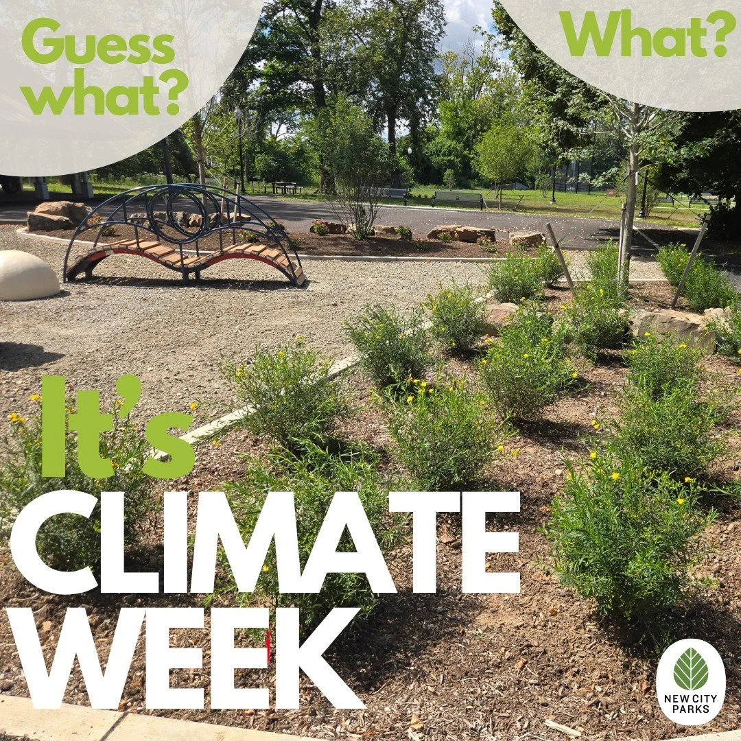 As the climate changes, we need urban spaces to support nature more than ever. 🌼🌱🌻 

In neighborhoods dominated by asphalt and cement, native plants and rain gardens provide respite and environmental resiliency, that&rsquo;s why NCP strives to ens