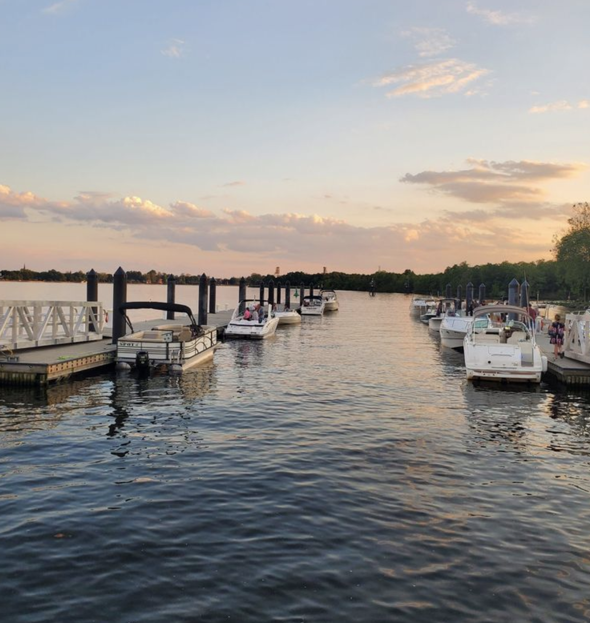 Screen Shot 2022-06-09 at 12.49.14 PM.png