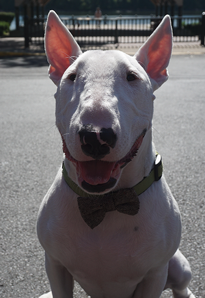 Screen Shot 2022-05-12 at 2.36.14 PM.png