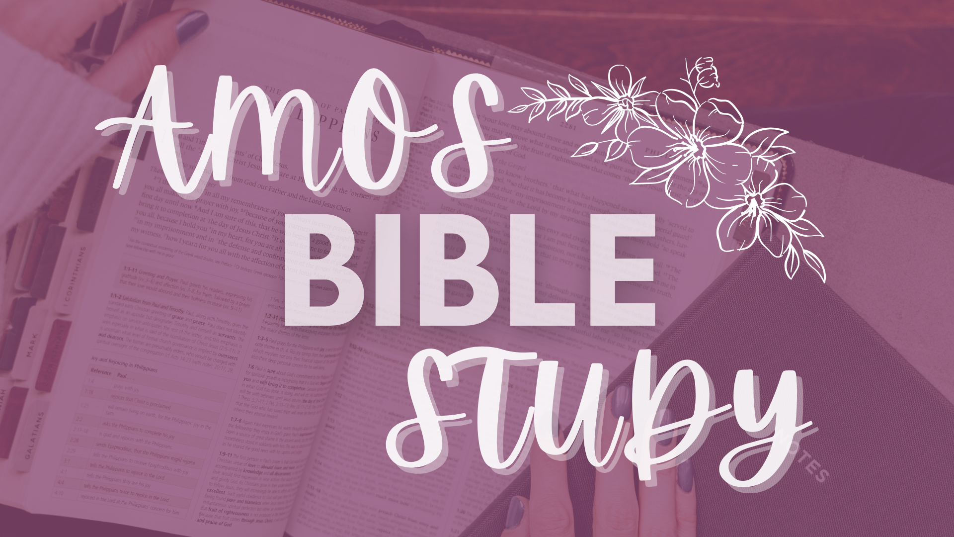 Women's Amos Bible Study