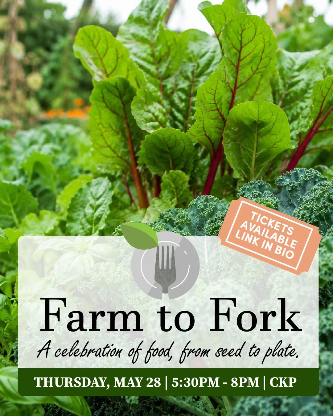 Food is the root of sparking conversation, building new connections, and growing lasting friendships.

Join us for an evening of celebration featuring an unforgettable 6-course dining experience prepared by our talented chefs and students. Each cours