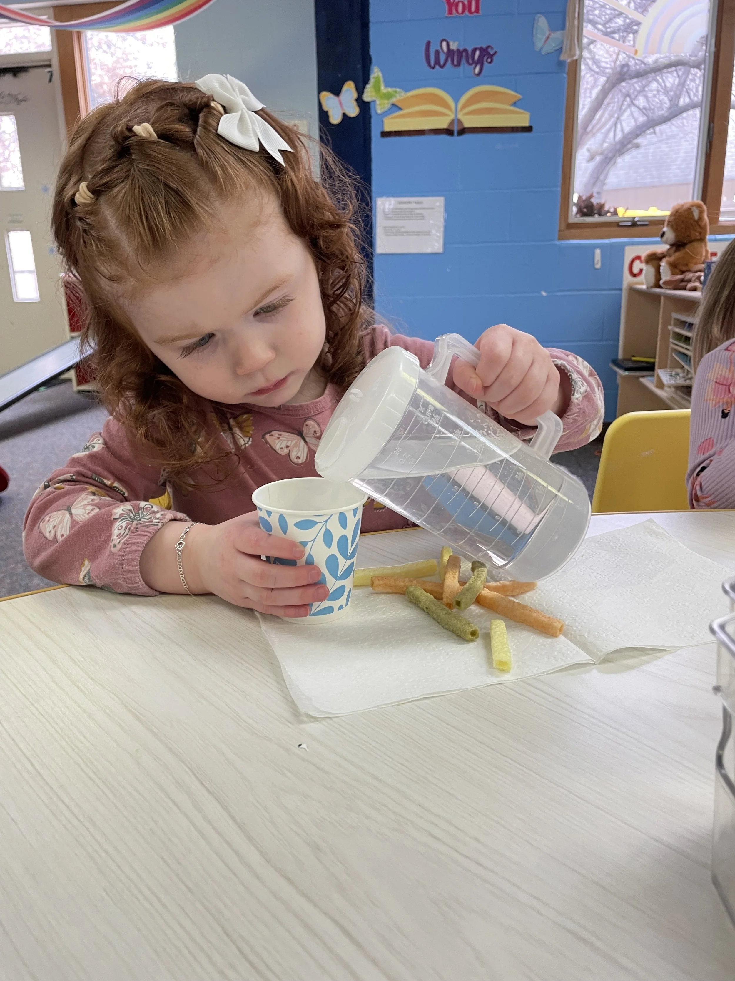 March 4, 2026: Merry Sunshine Update