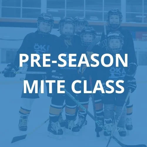 pre-season-mite-class-button