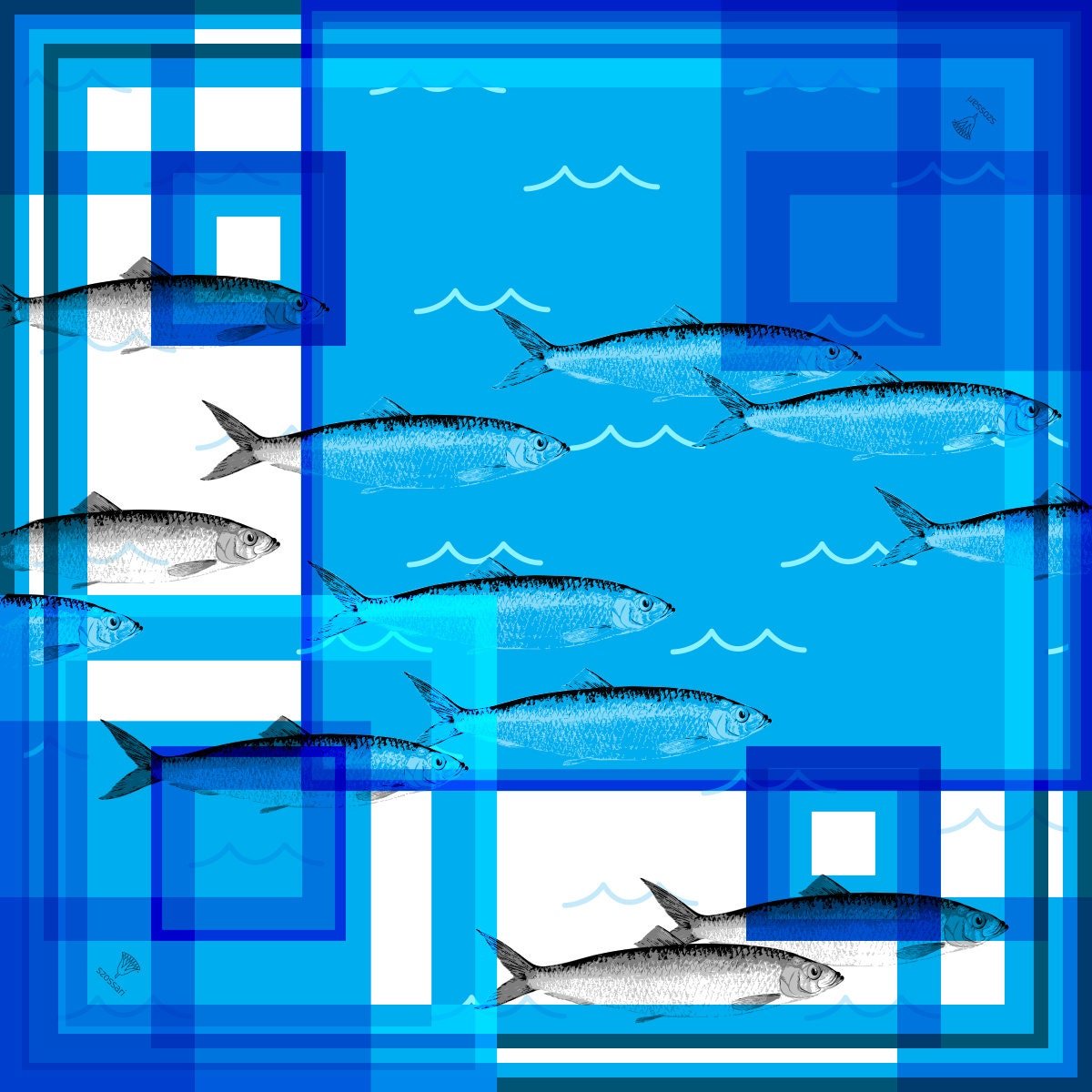 https://i.etsystatic.com/15247306/r/il/df2f9d/1553560324/il_fullxfull.1553560324_eqp4.jpg